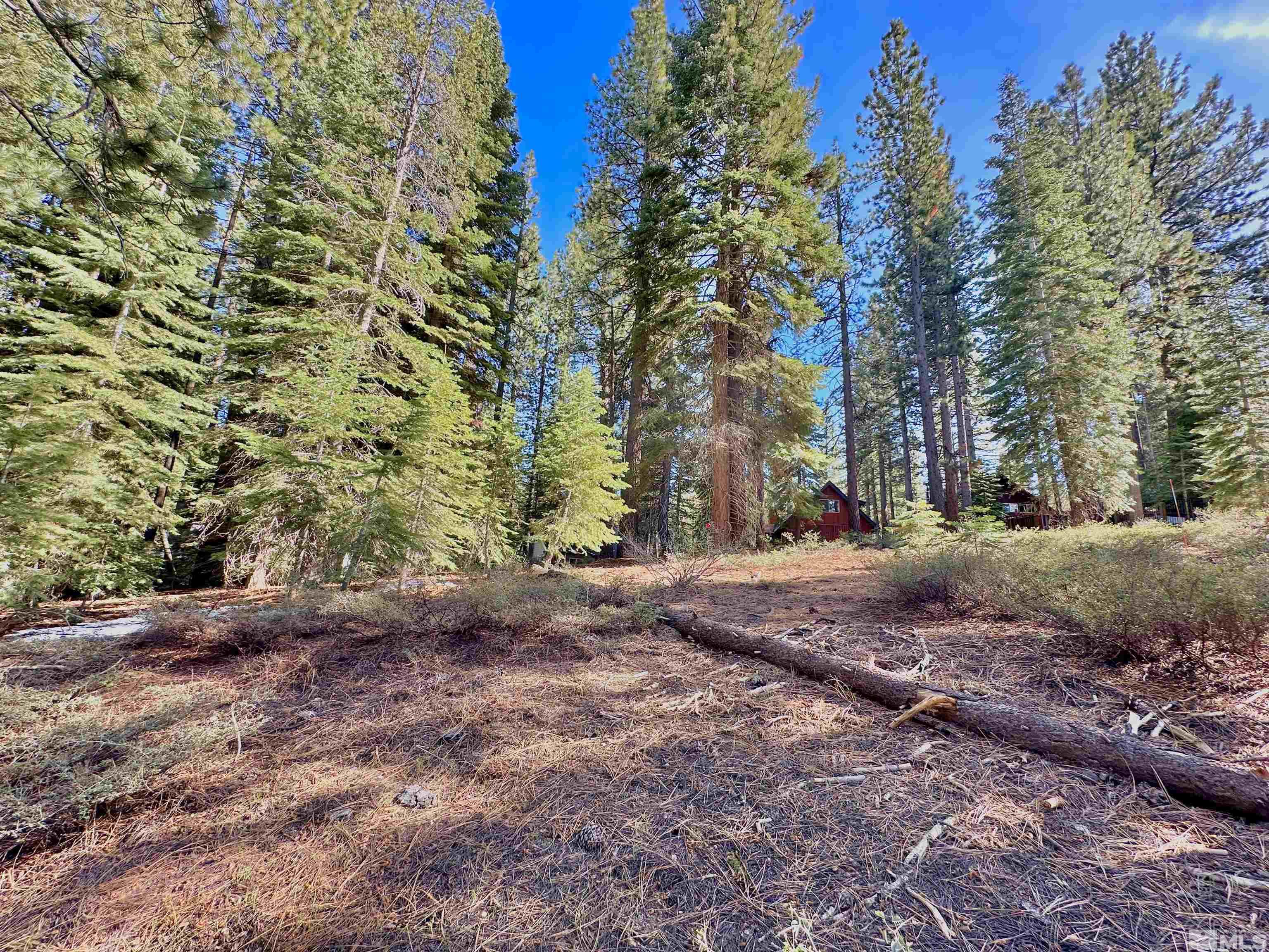 1593 Plumas Property Photo 14