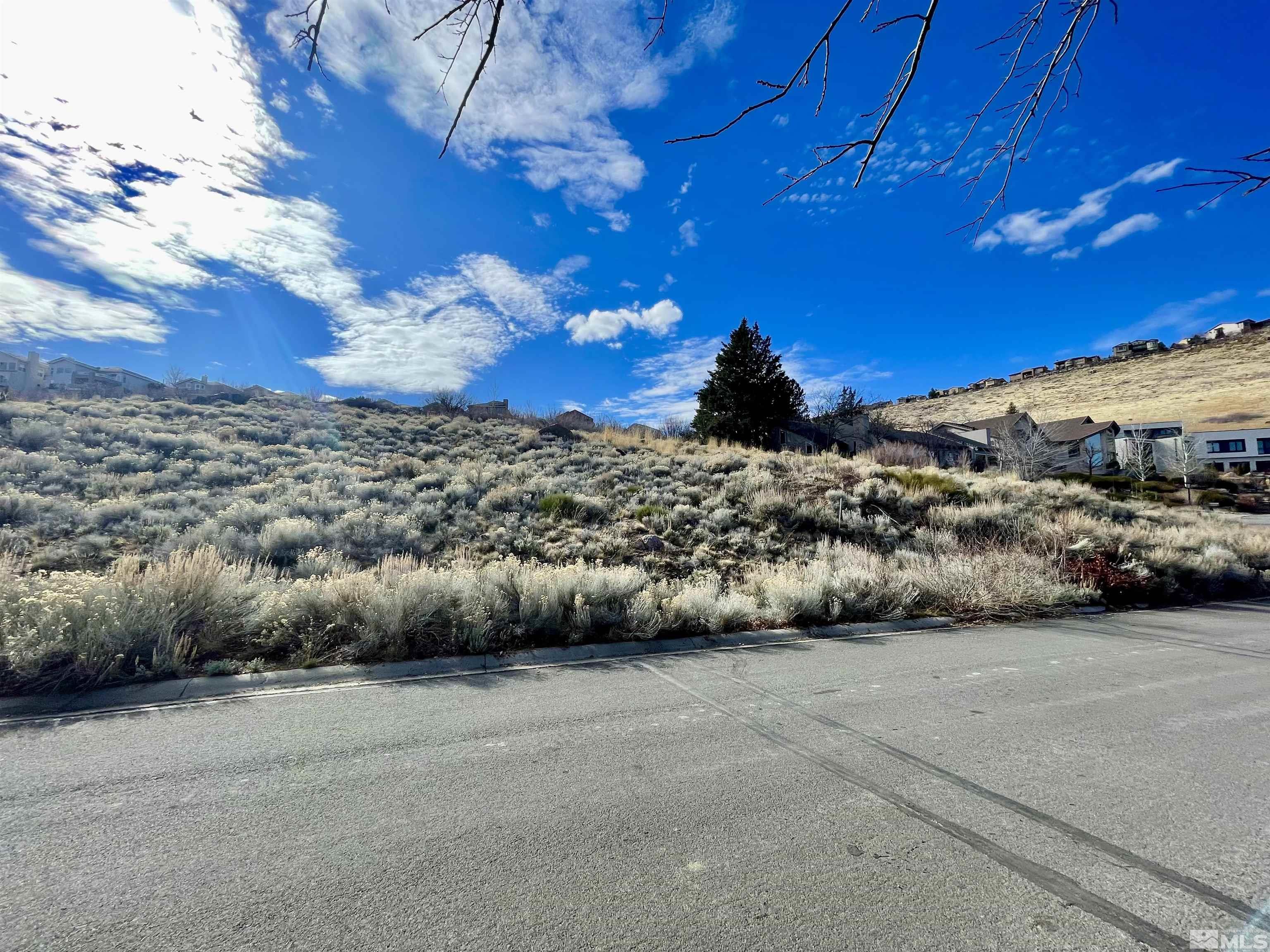 2815 Lakeridge Shores Property Photo 16
