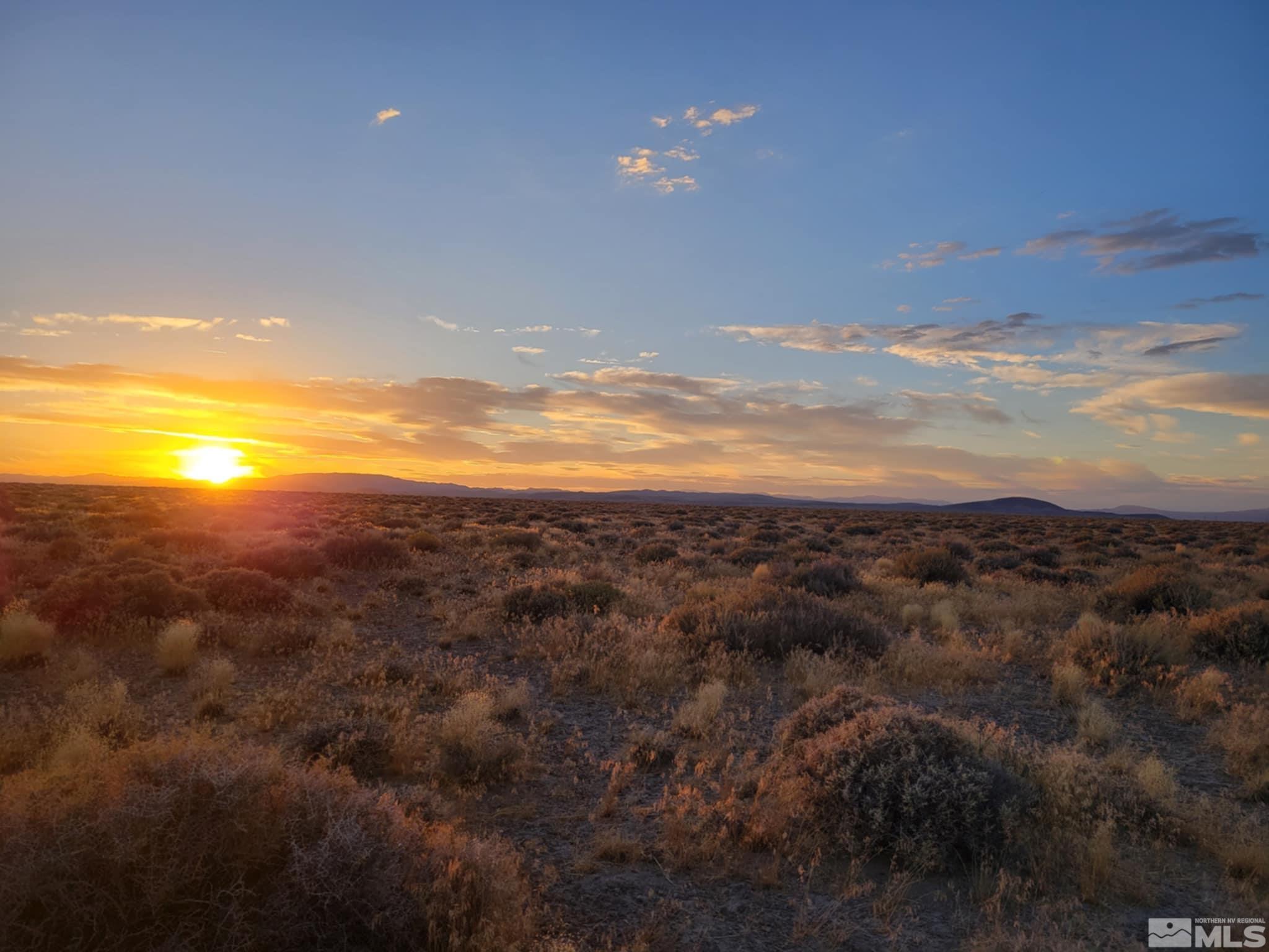 12017 Powerline Road Property Photo 2