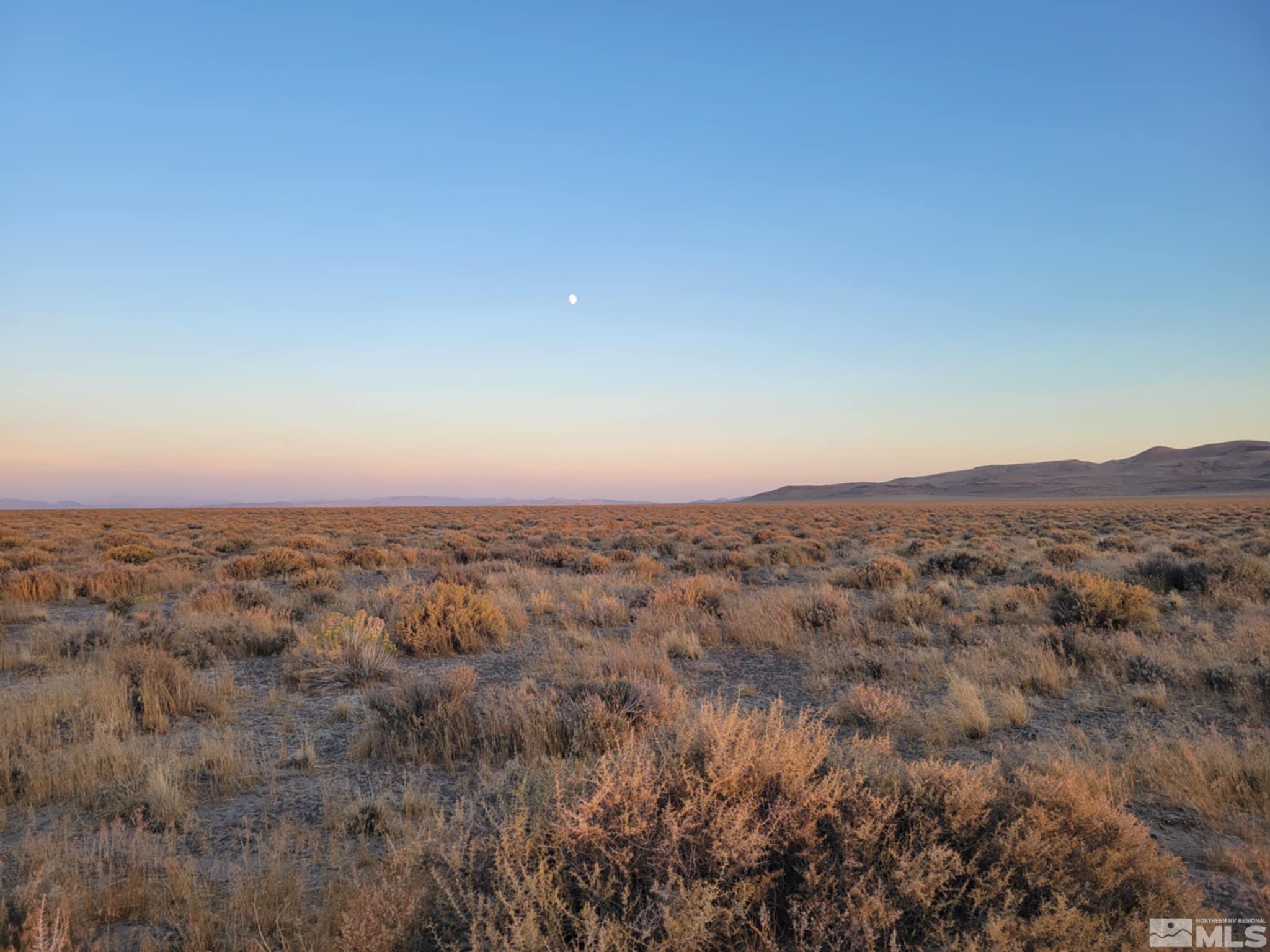 12017 Powerline Road Property Photo 3