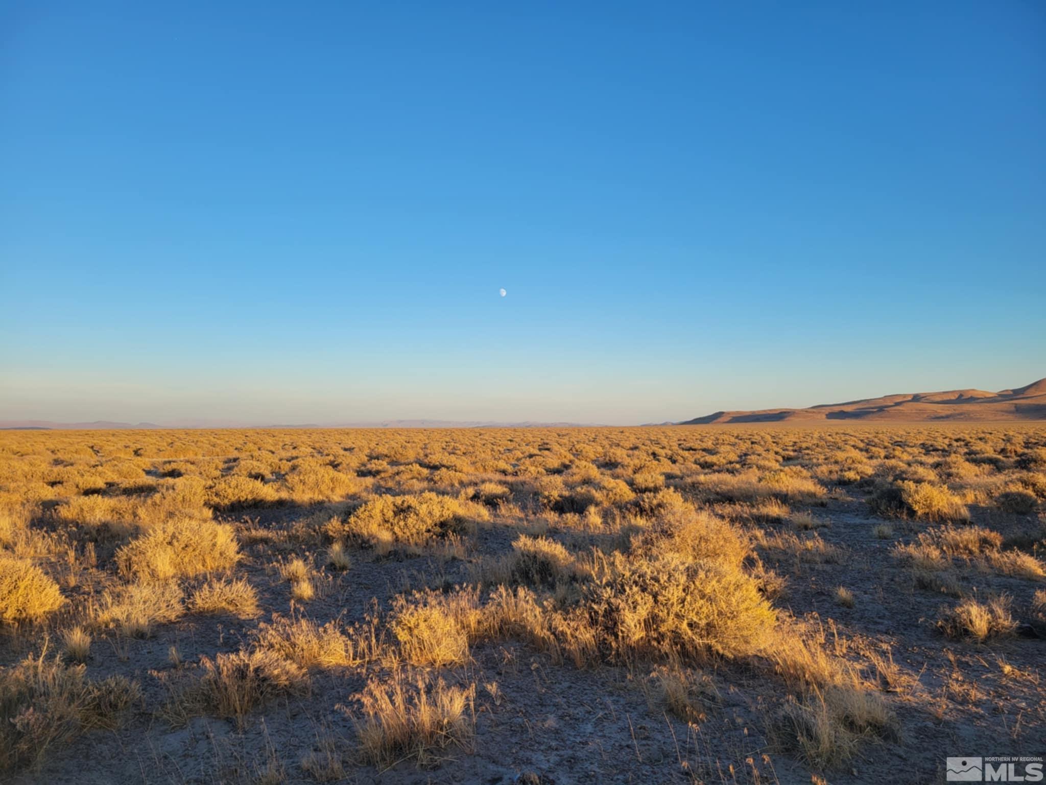12017 Powerline Road Property Photo 5
