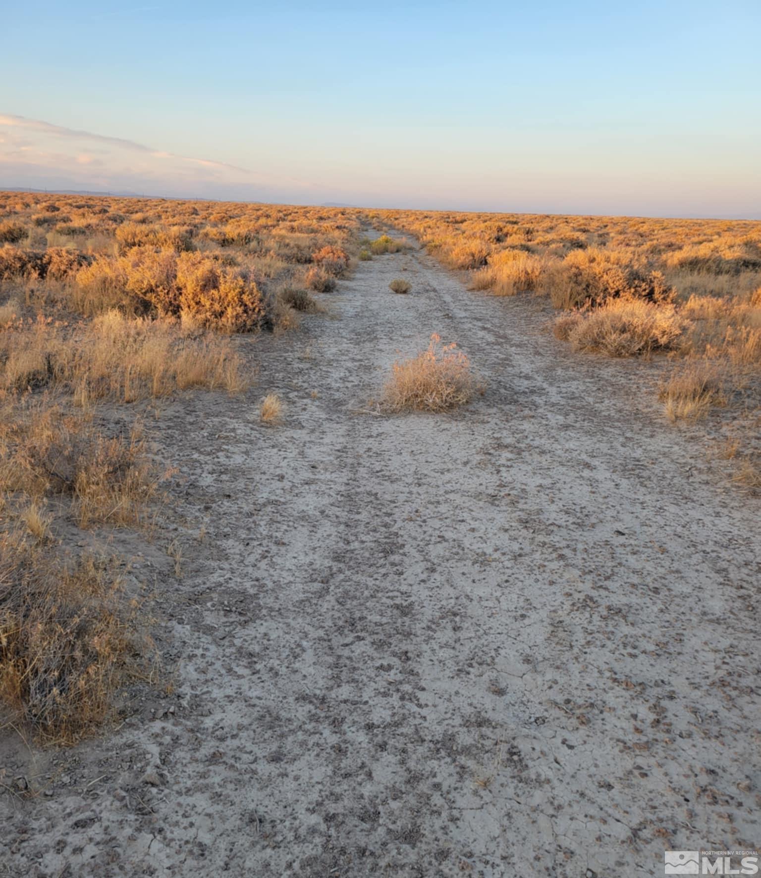 12017 Powerline Road Property Photo 8