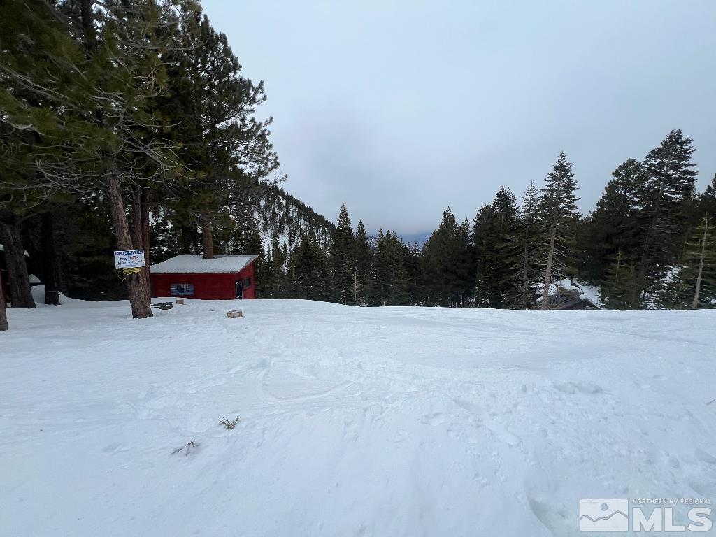 20980 Mount Rose Hwy Property Photo 6