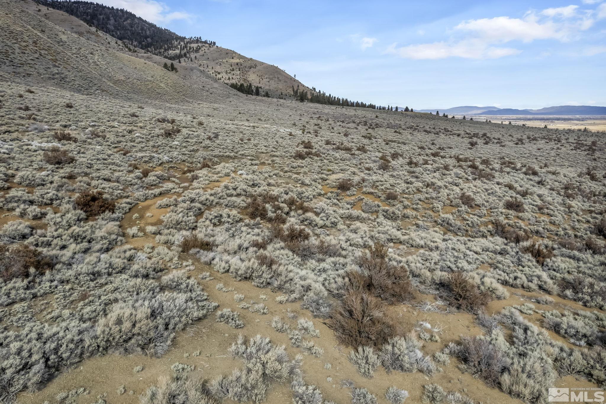 Lot 10 Hawkins Peak Road Property Photo 9