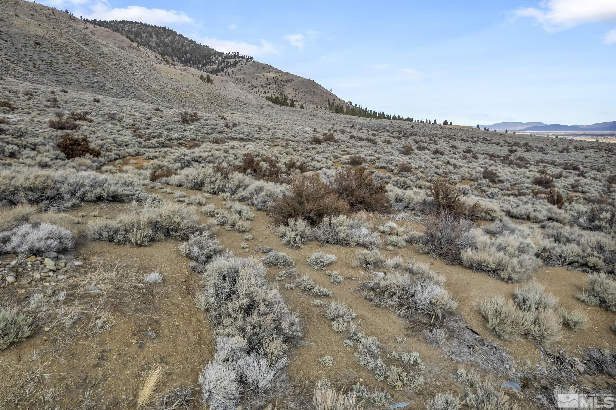 Lot 10 Hawkins Peak Road Property Photo 10