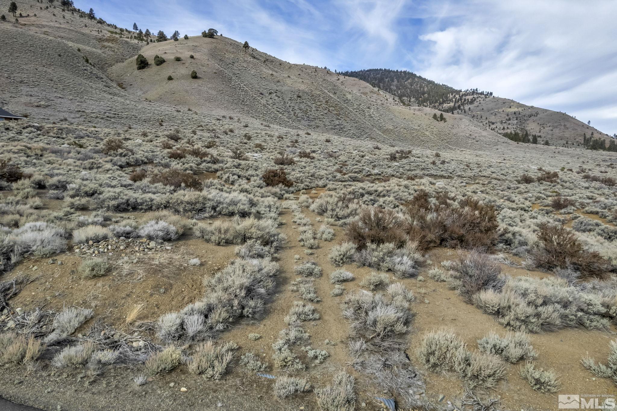 Lot 10 Hawkins Peak Road Property Photo 11