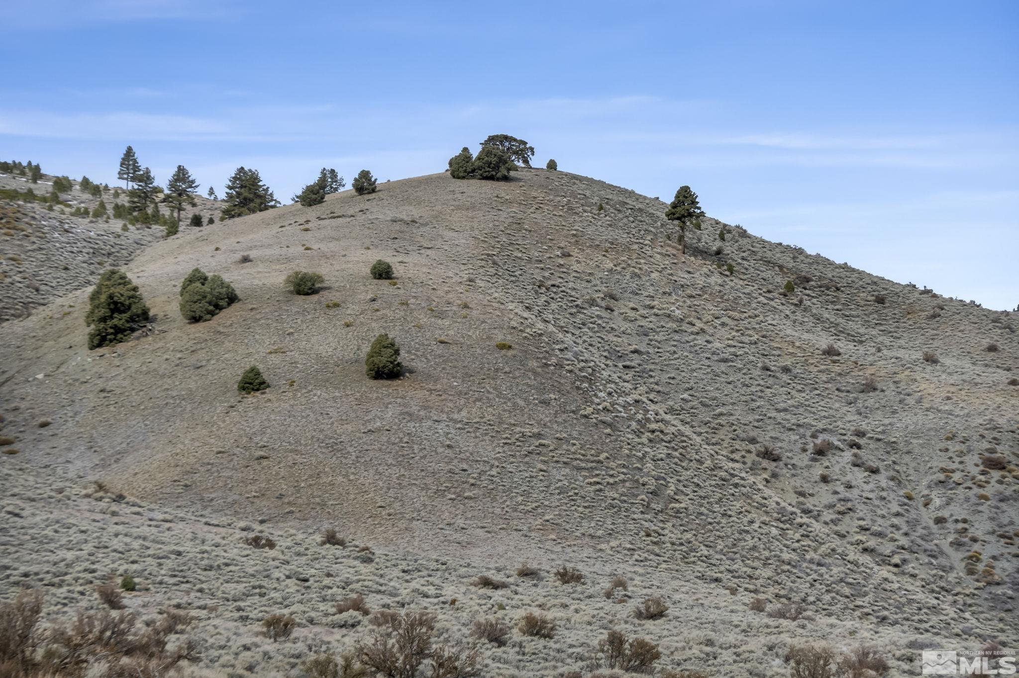 Lot 10 Hawkins Peak Road Property Photo 14