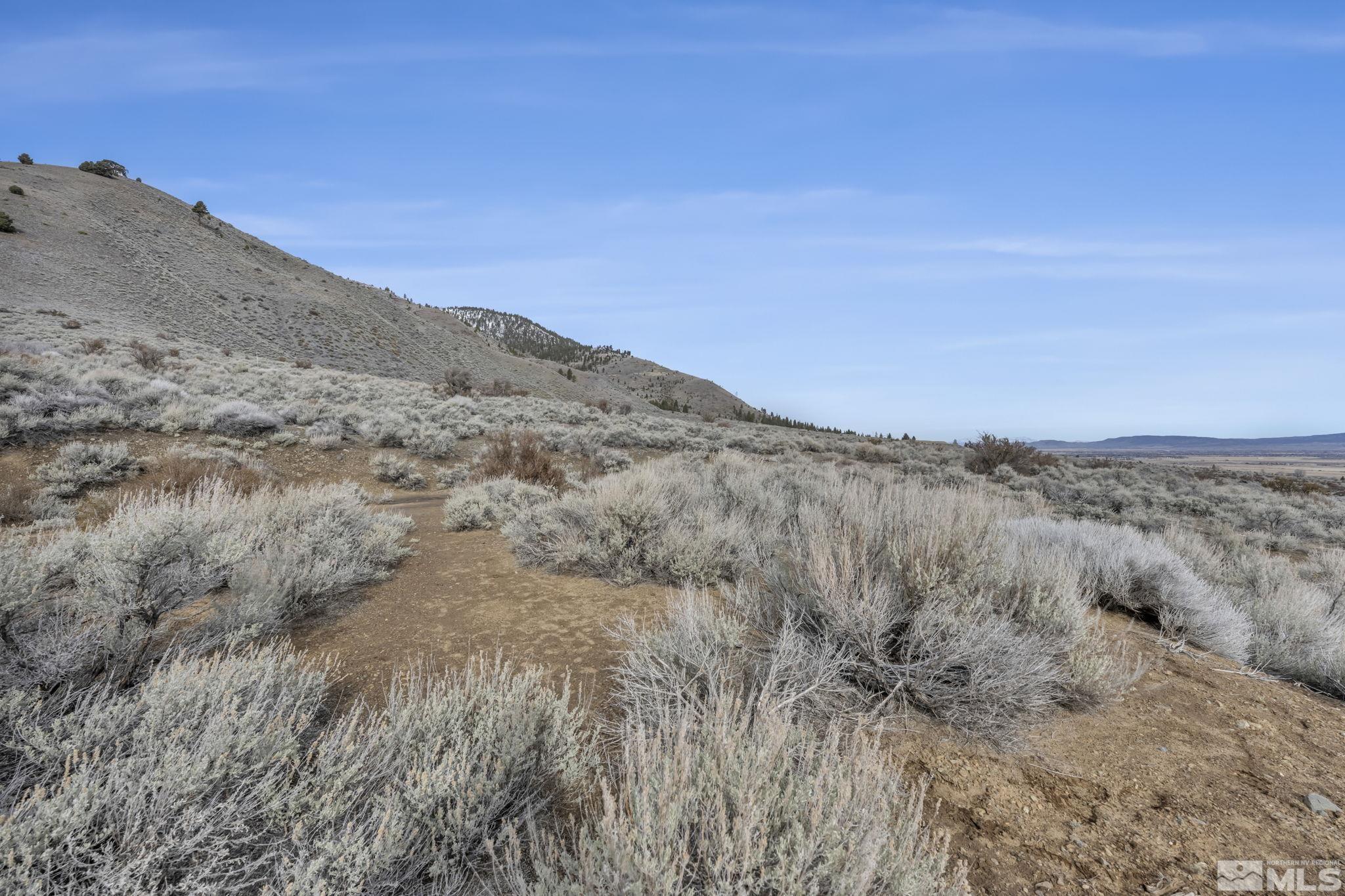 Lot 10 Hawkins Peak Road Property Photo 26