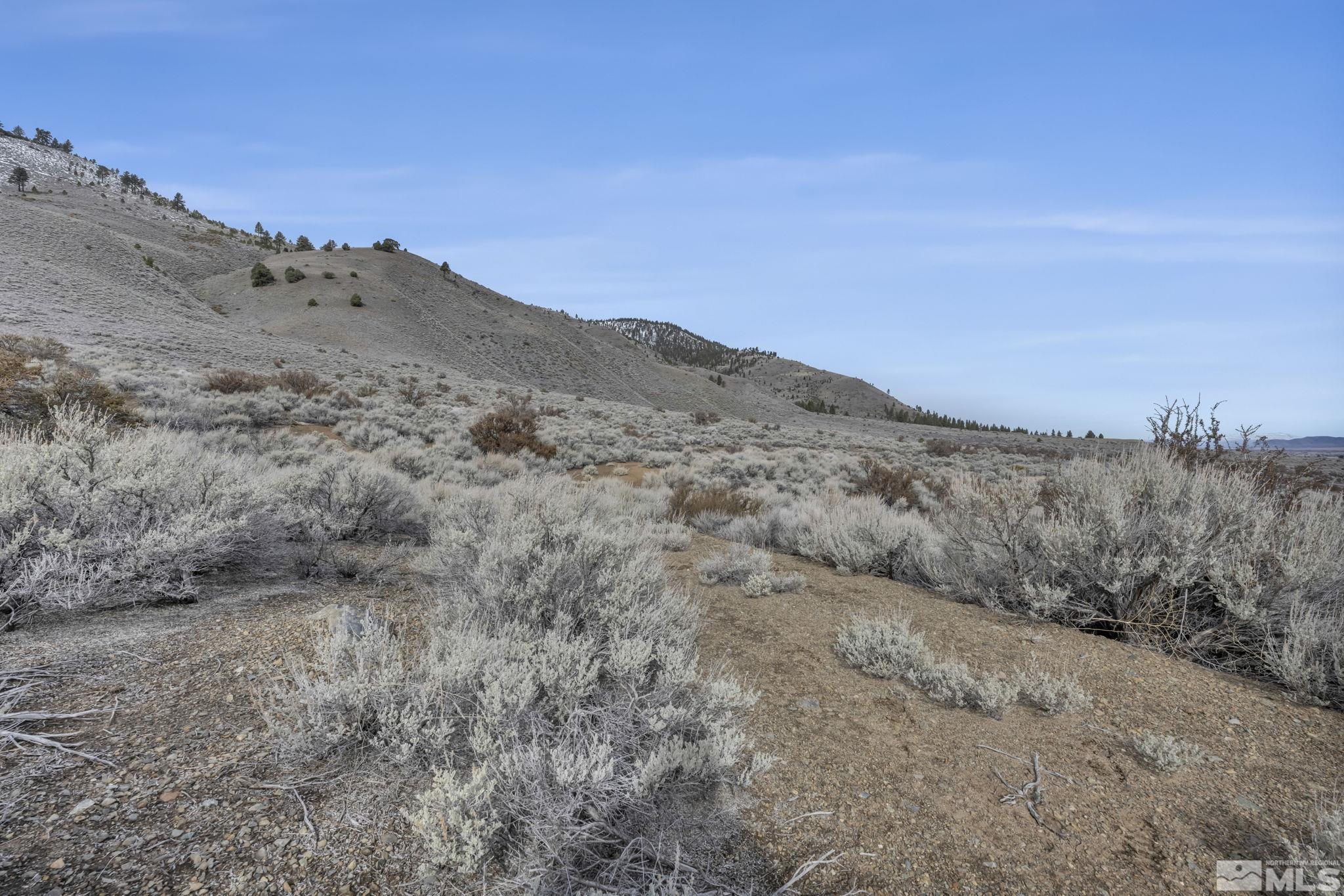 Lot 10 Hawkins Peak Road Property Photo 27
