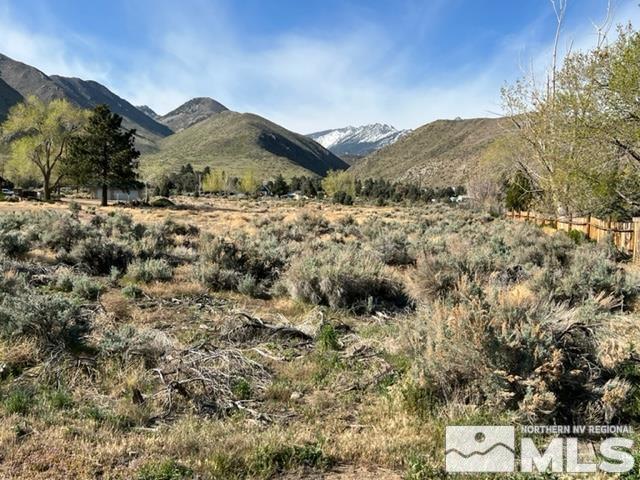 Lot R3 Highway 395 Property Photo 6