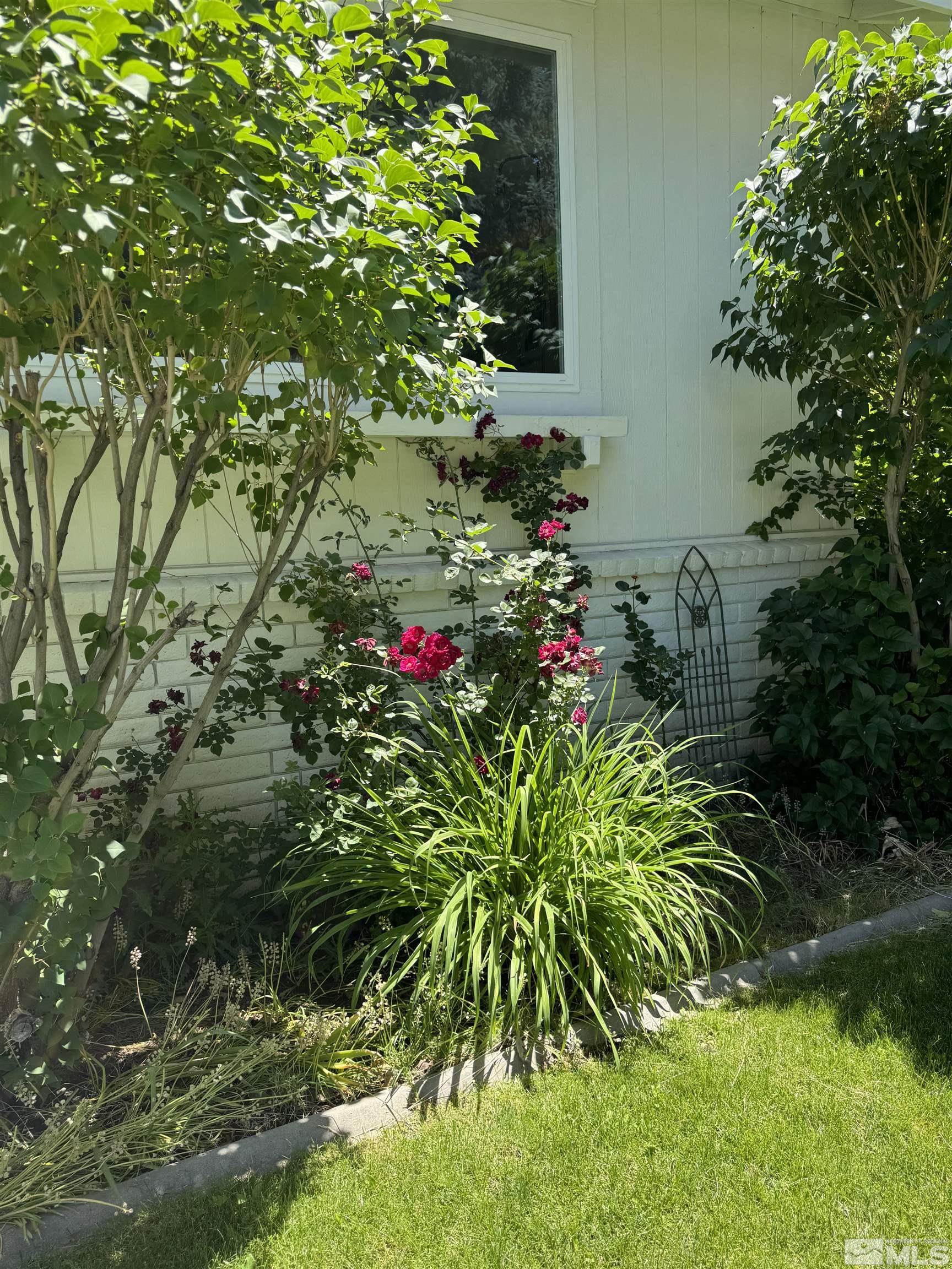 1599 Lucerne Property Photo 36