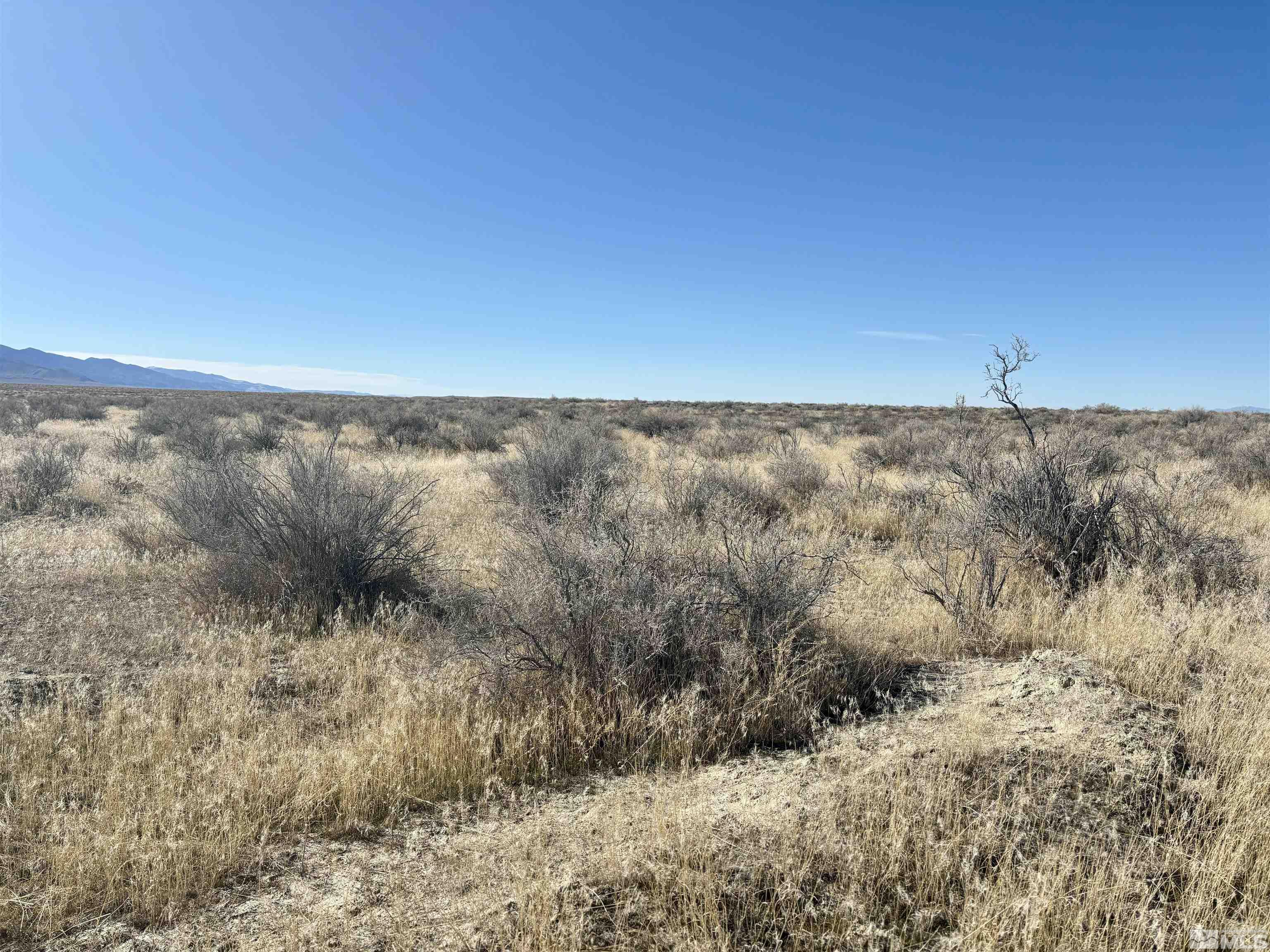 015-610-15 Old Emigrant Trail Property Photo 4