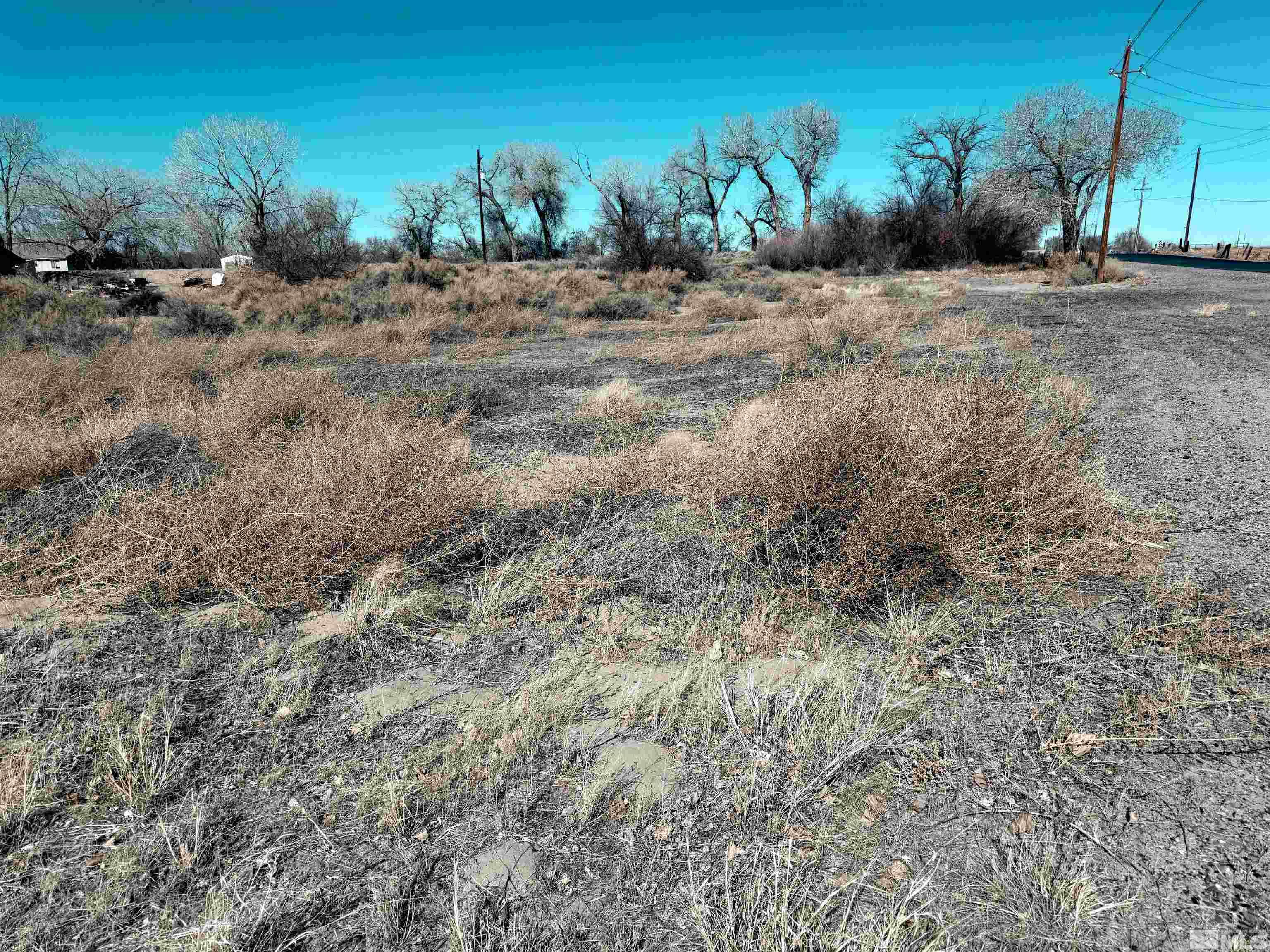 2020 Blues Ct Property Photo 1