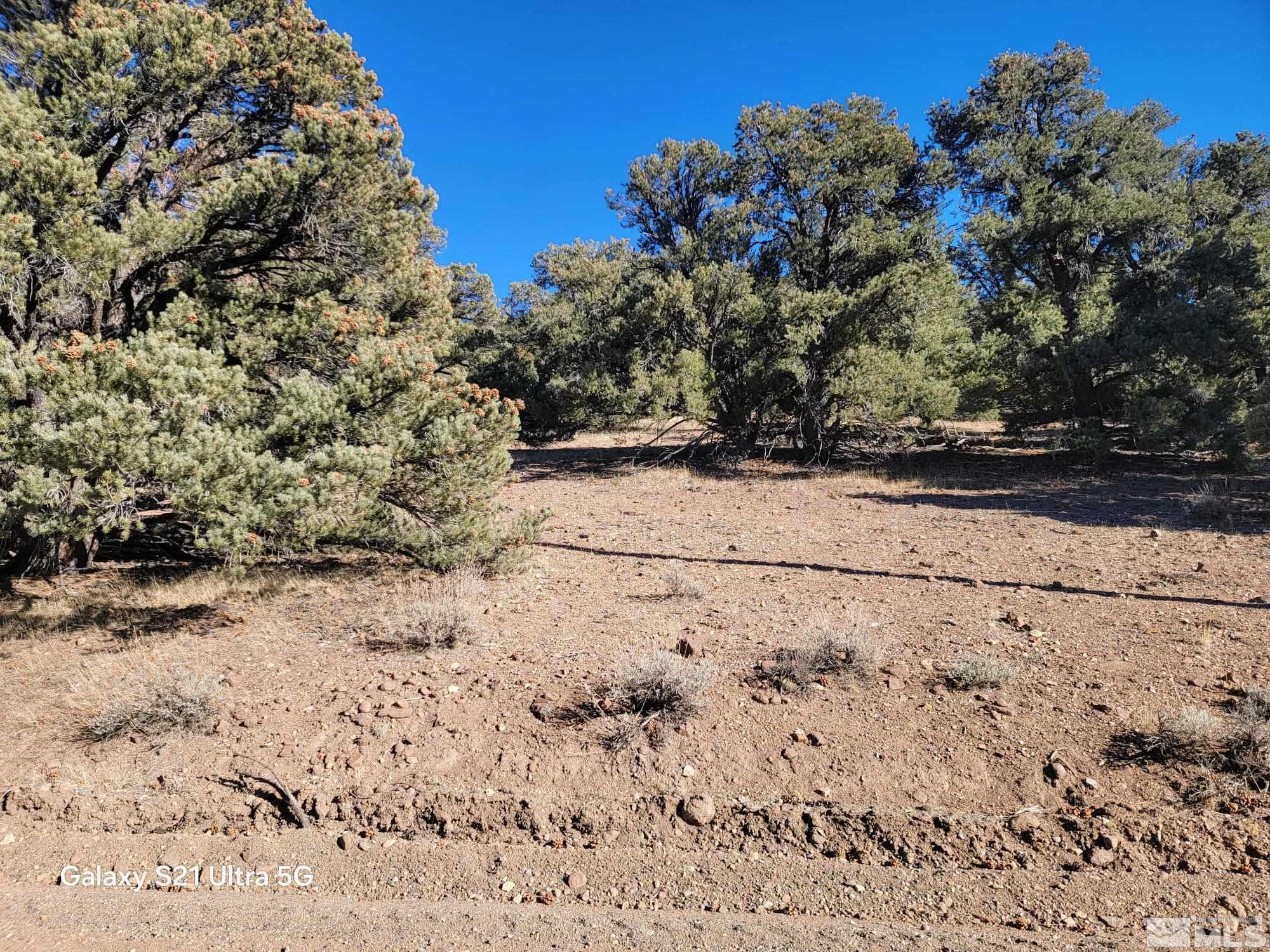 1450 Yellowjacket Rd Property Photo
