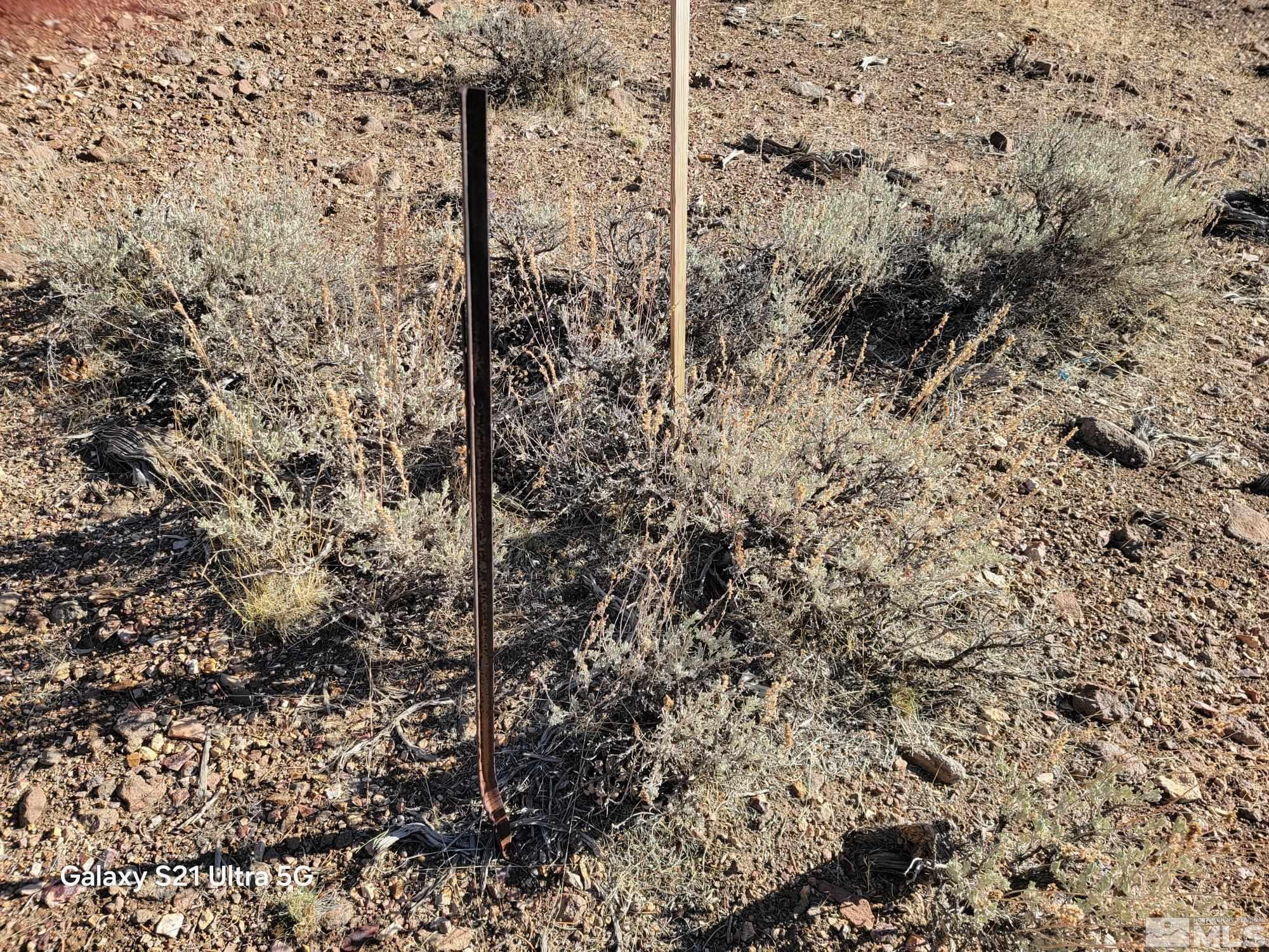 1450 Yellowjacket Rd Property Photo 3