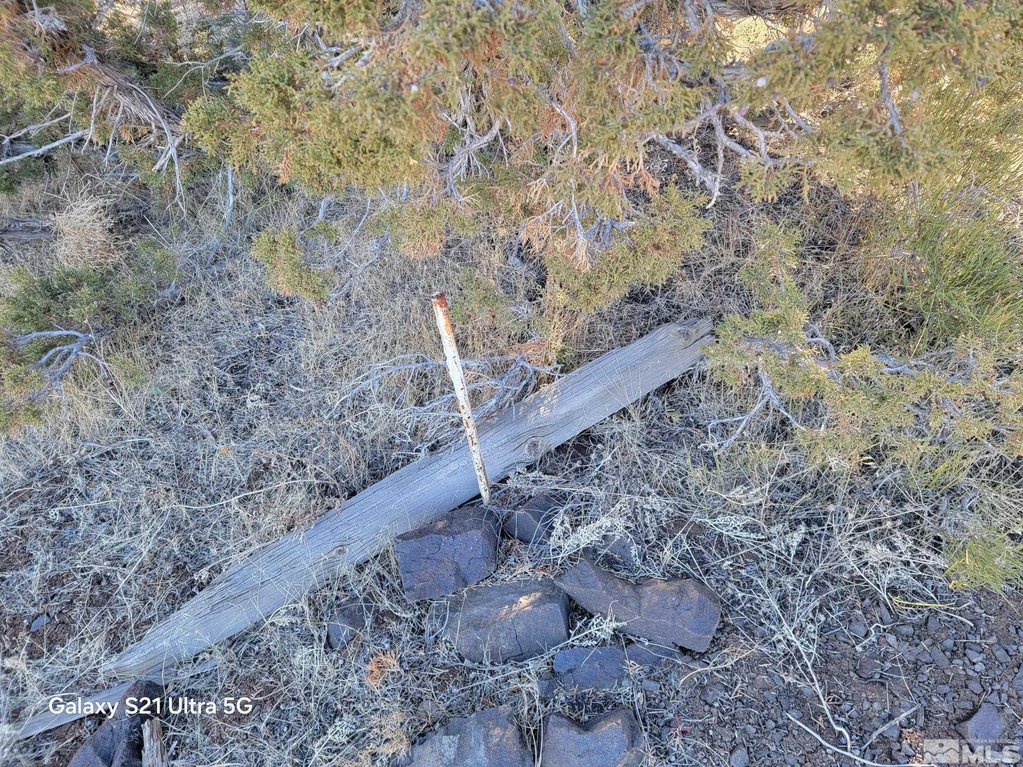 1450 Yellowjacket Rd Property Photo 4