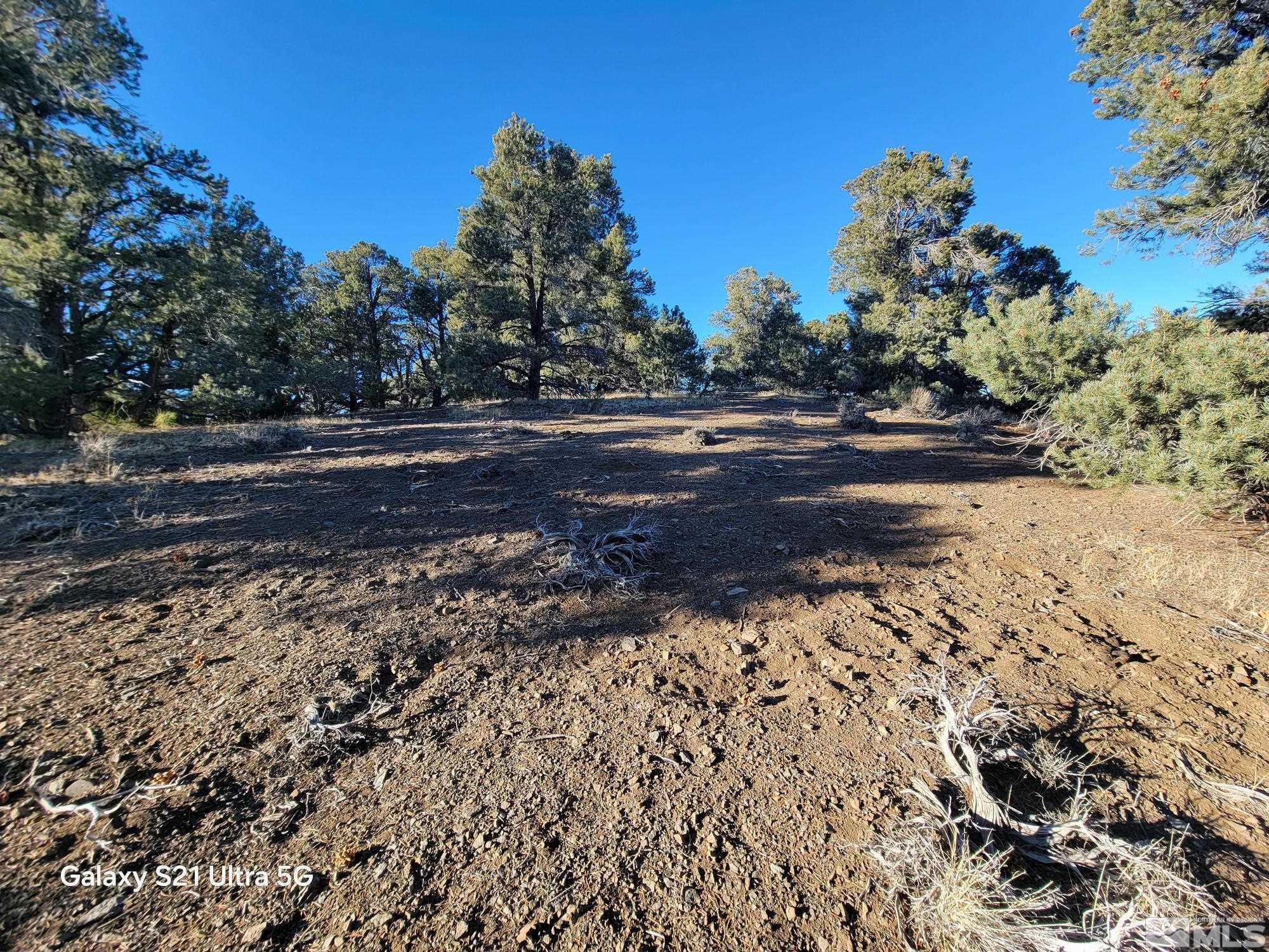 1450 Yellowjacket Rd Property Photo 10