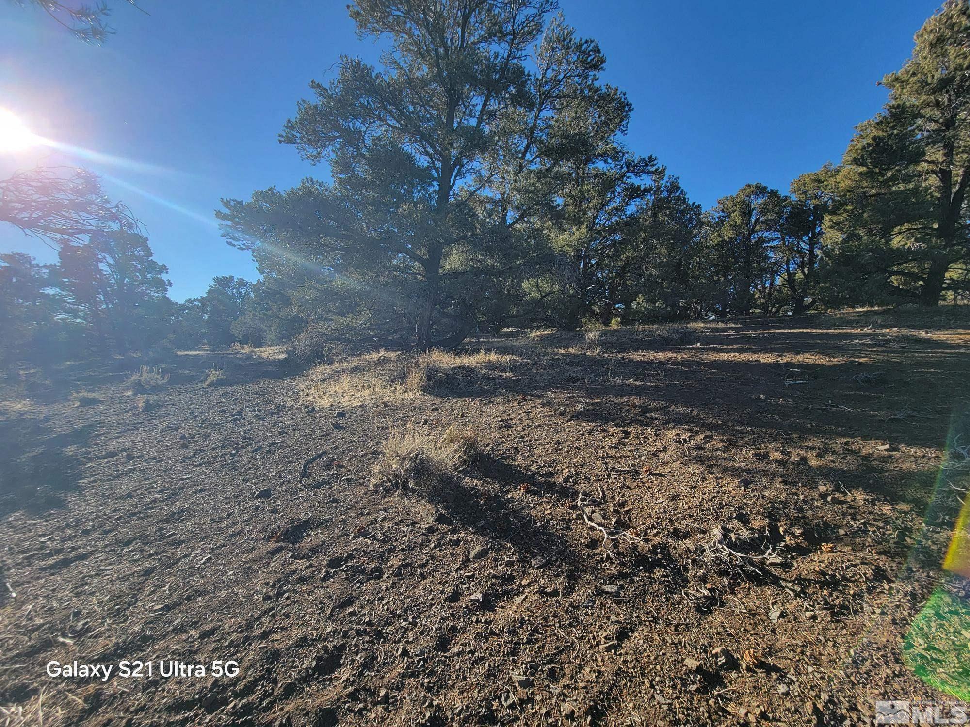 1450 Yellowjacket Rd Property Photo 11