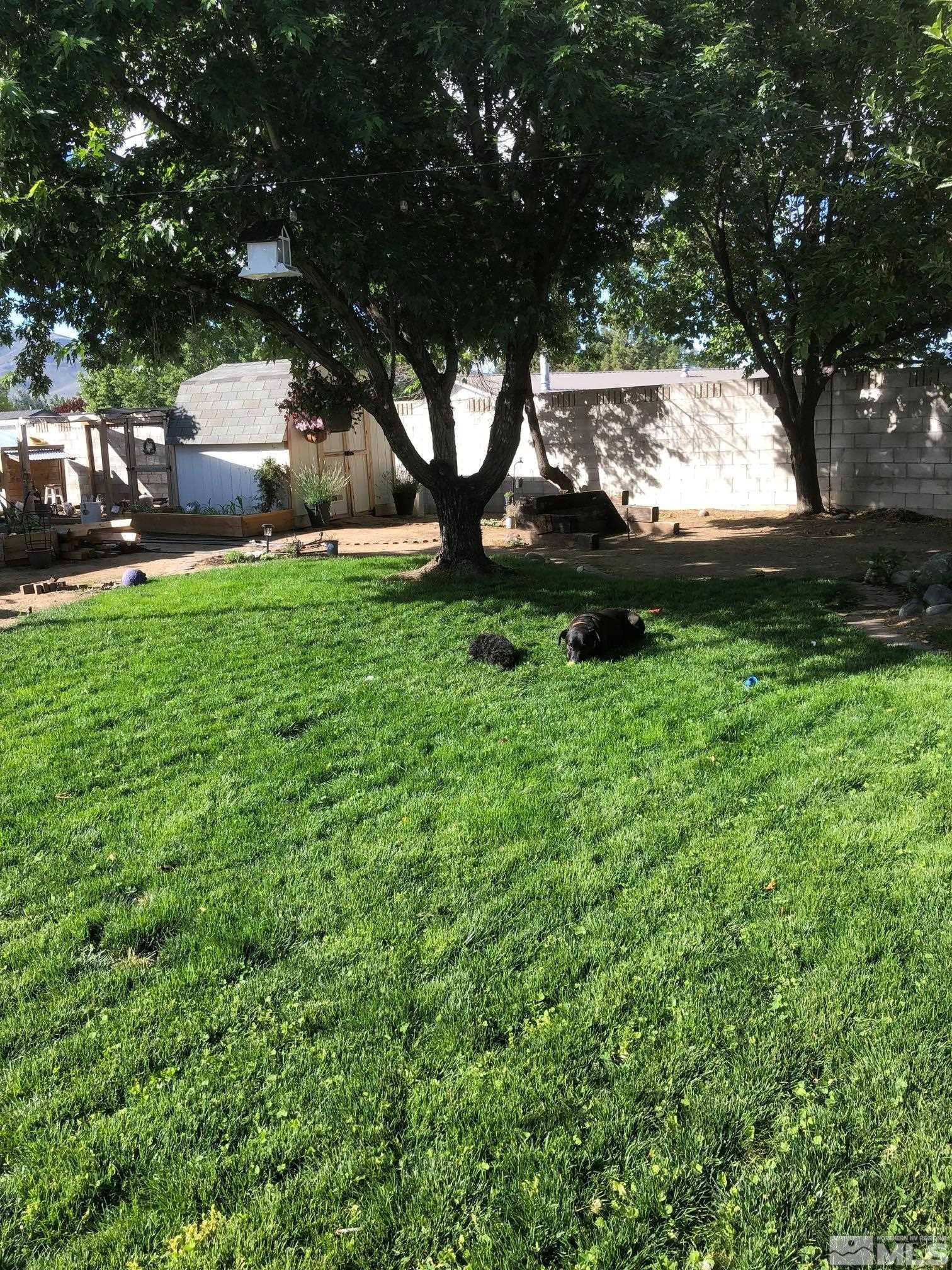 17345 Sunbird Lane Property Photo 29