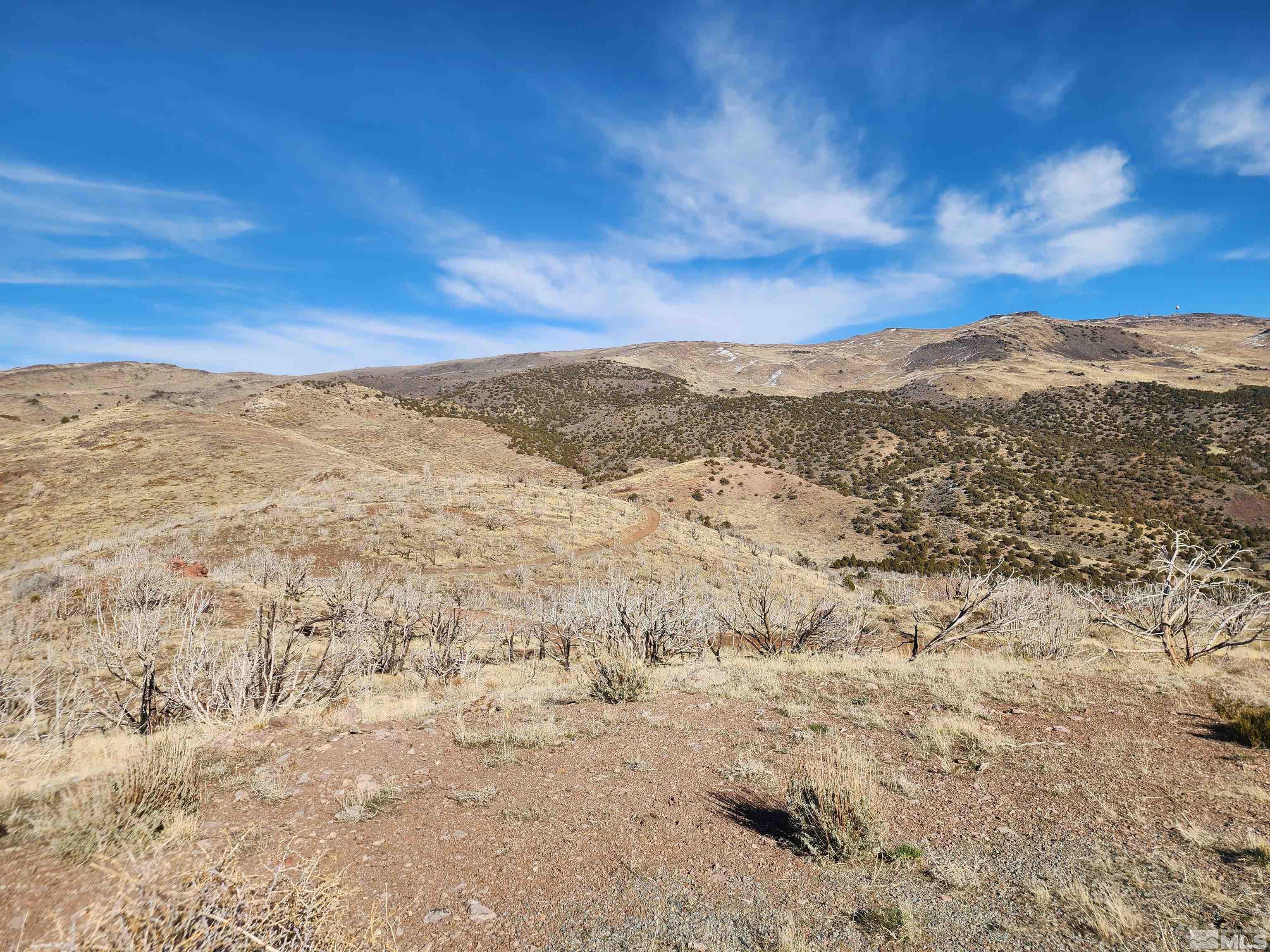1700 Wrangler Road Property Photo 4