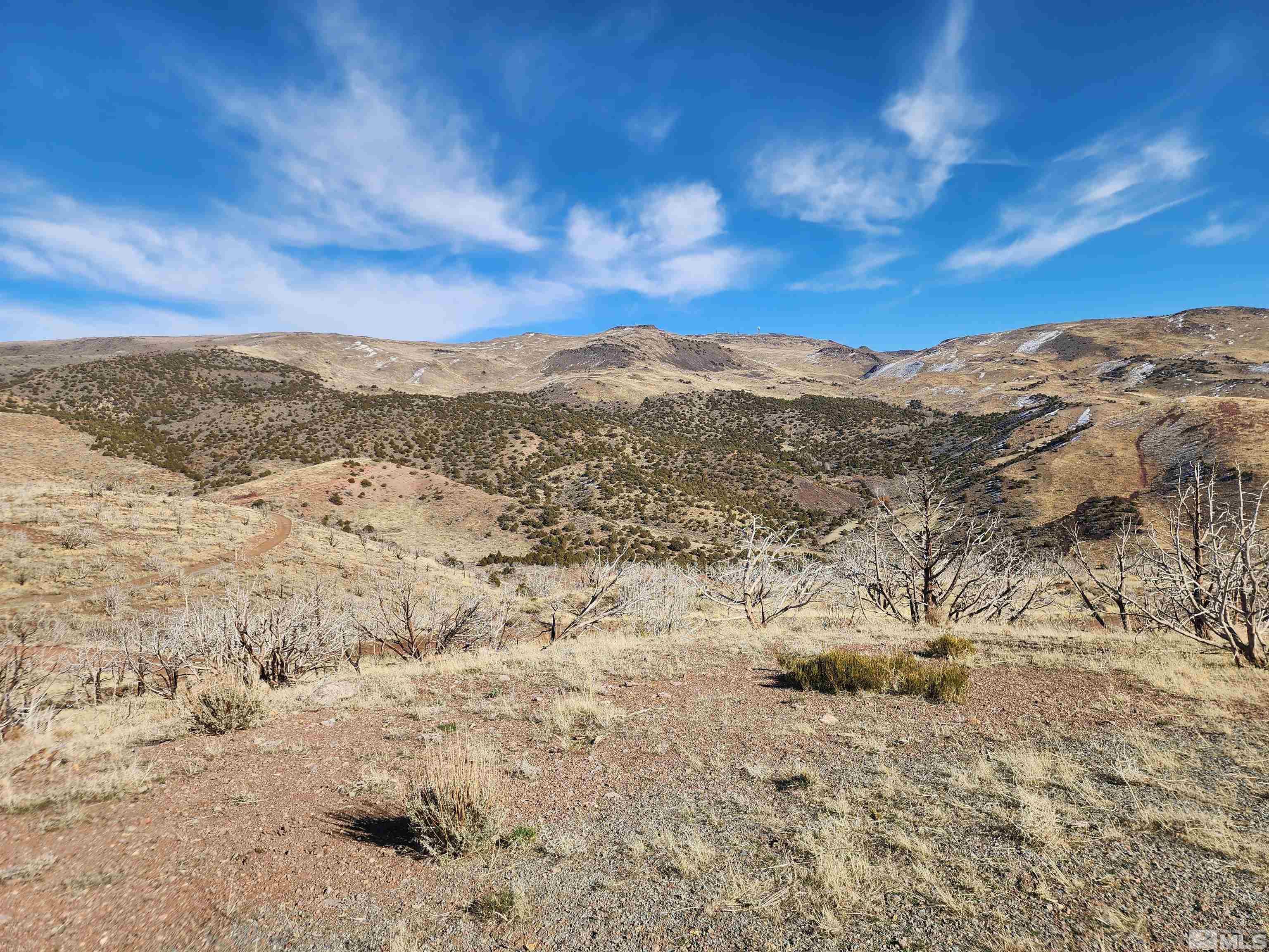 1700 Wrangler Road Property Photo 5