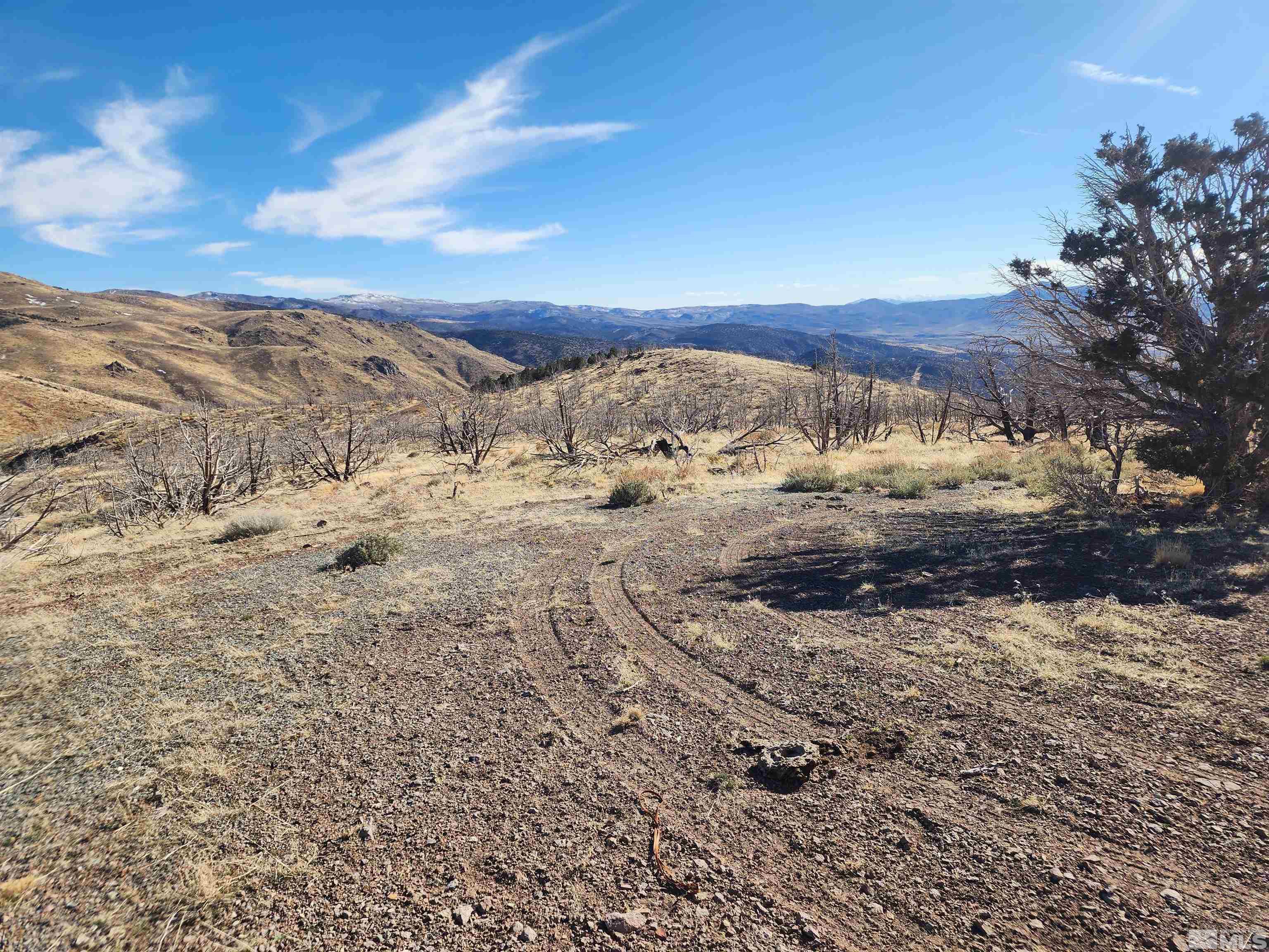 1700 Wrangler Road Property Photo 6