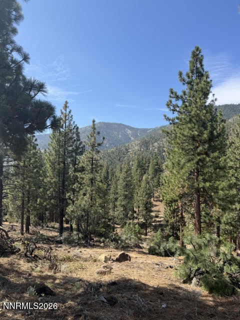 180 Scenic Range Court Property Photo 4