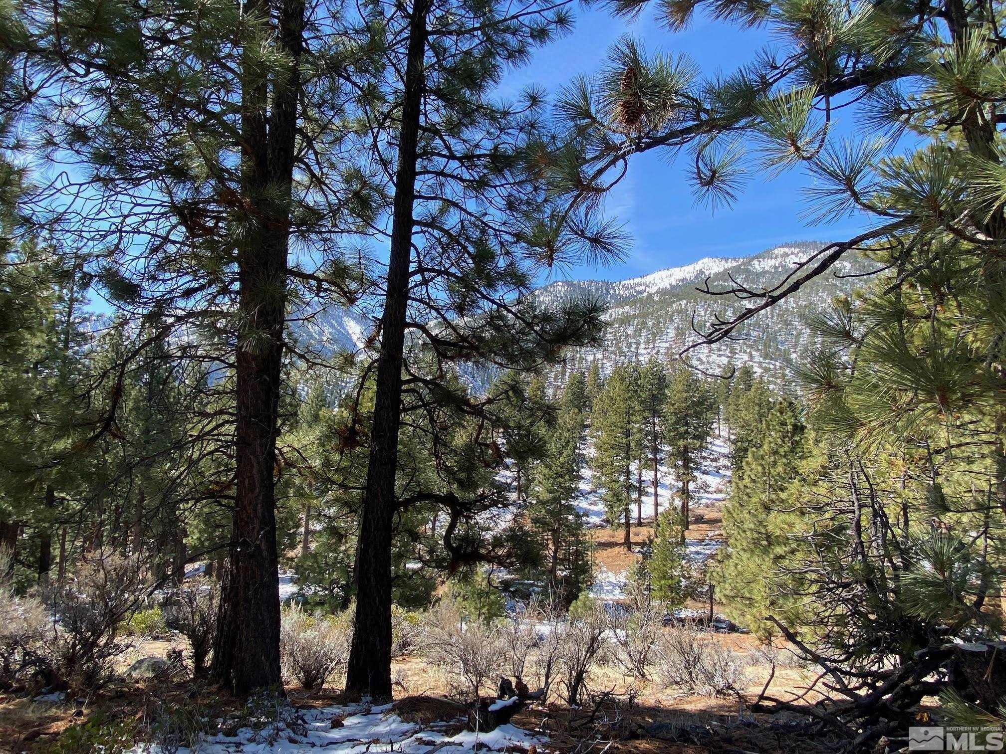 180 Scenic Range Court Property Photo 6