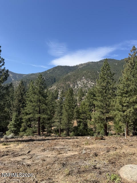180 Scenic Range Court Property Photo 6