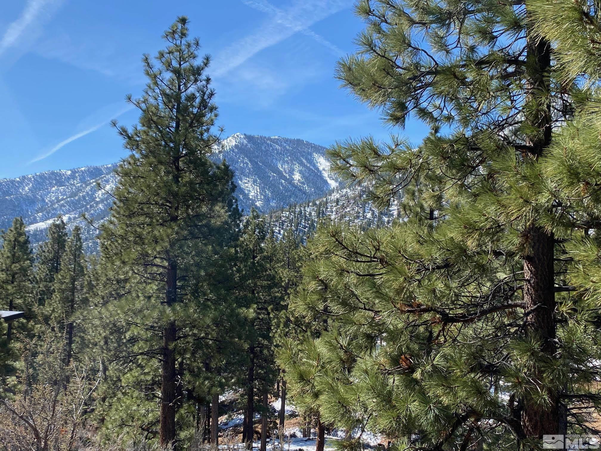 180 Scenic Range Court Property Photo 8