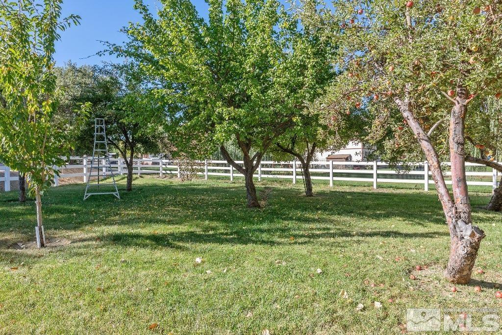 1965 Palmira Drive Property Photo 11