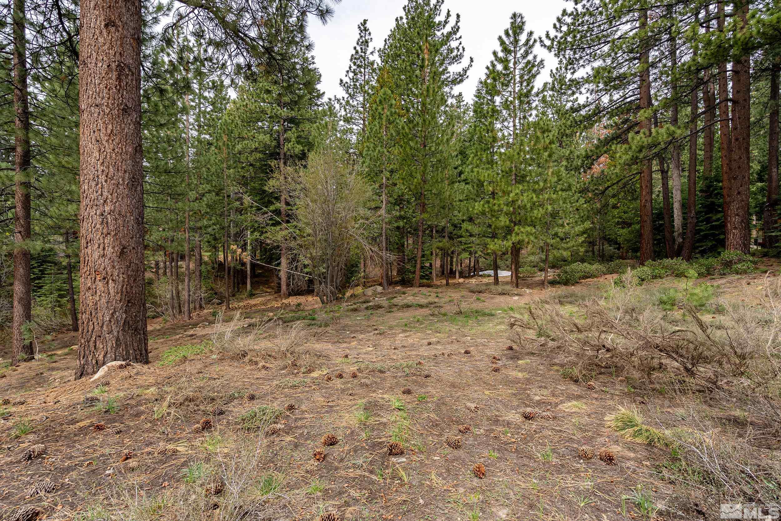 585 Village Boulevard Property Photo 4