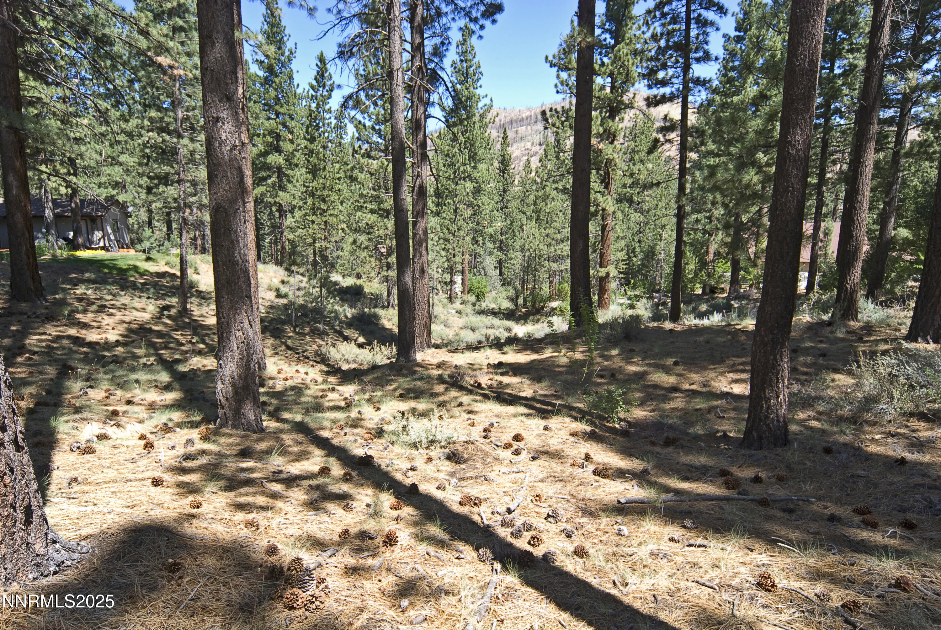50 Pinon Road Property Photo 3