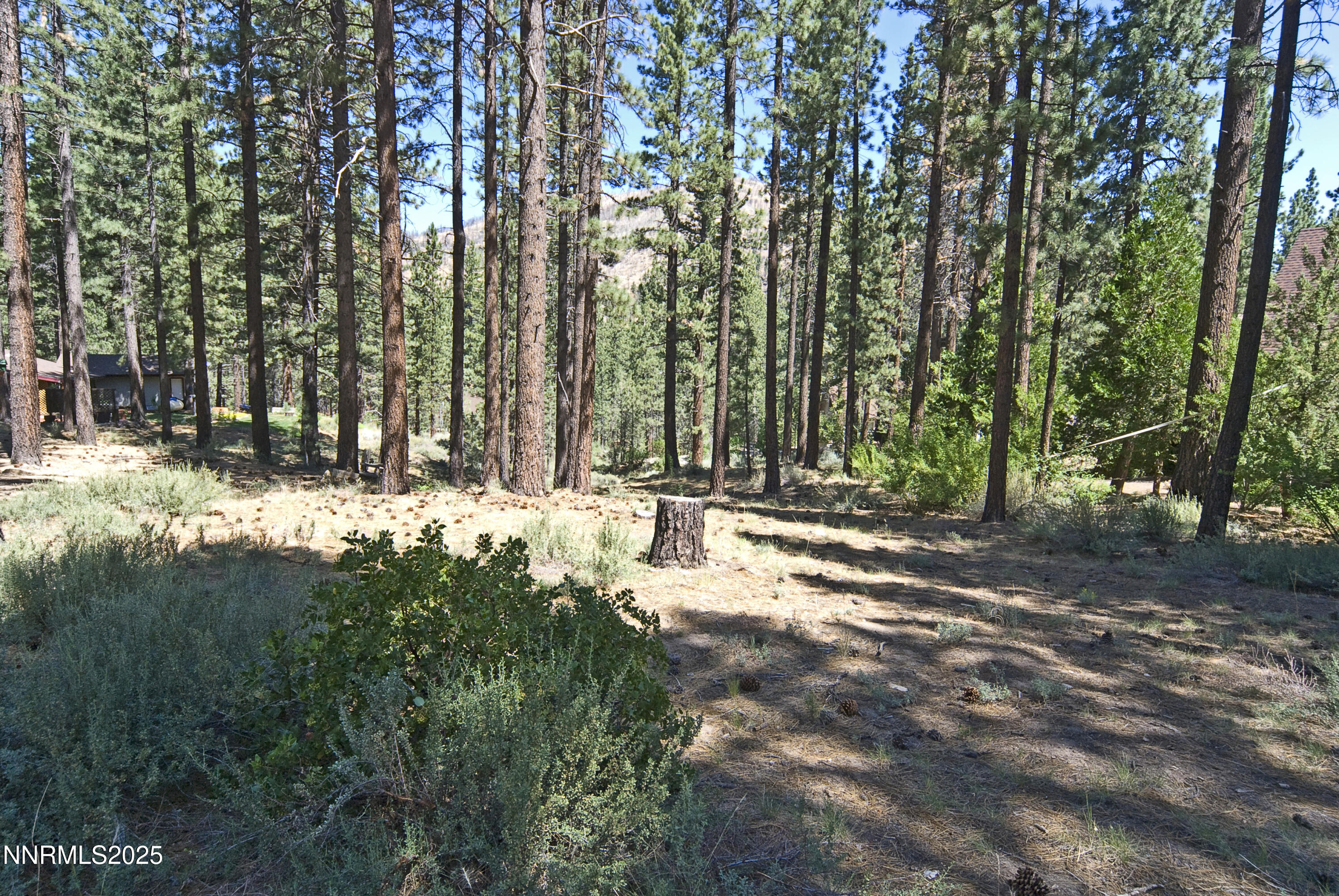 50 Pinon Road Property Photo 5