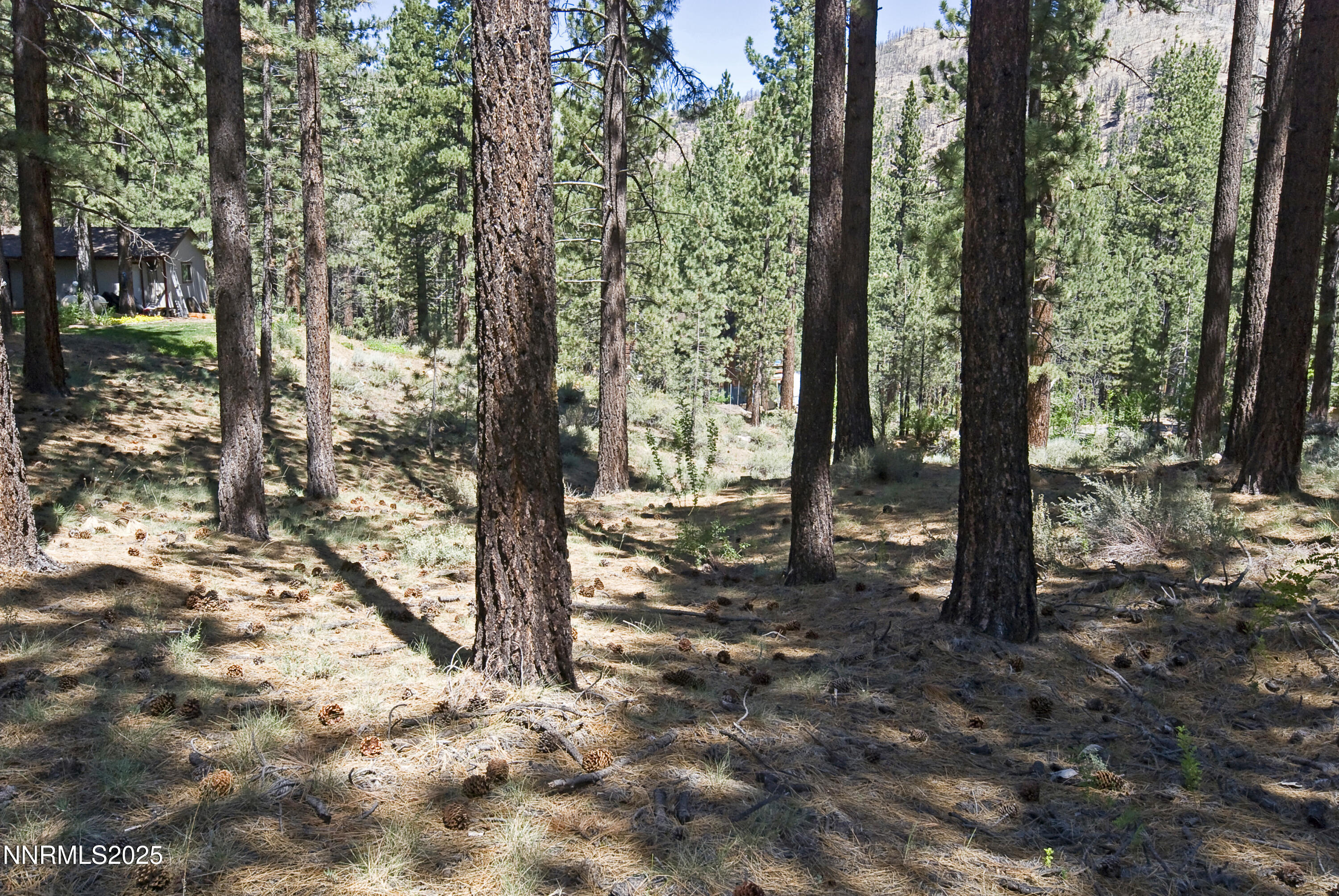 50 Pinon Road Property Photo 7