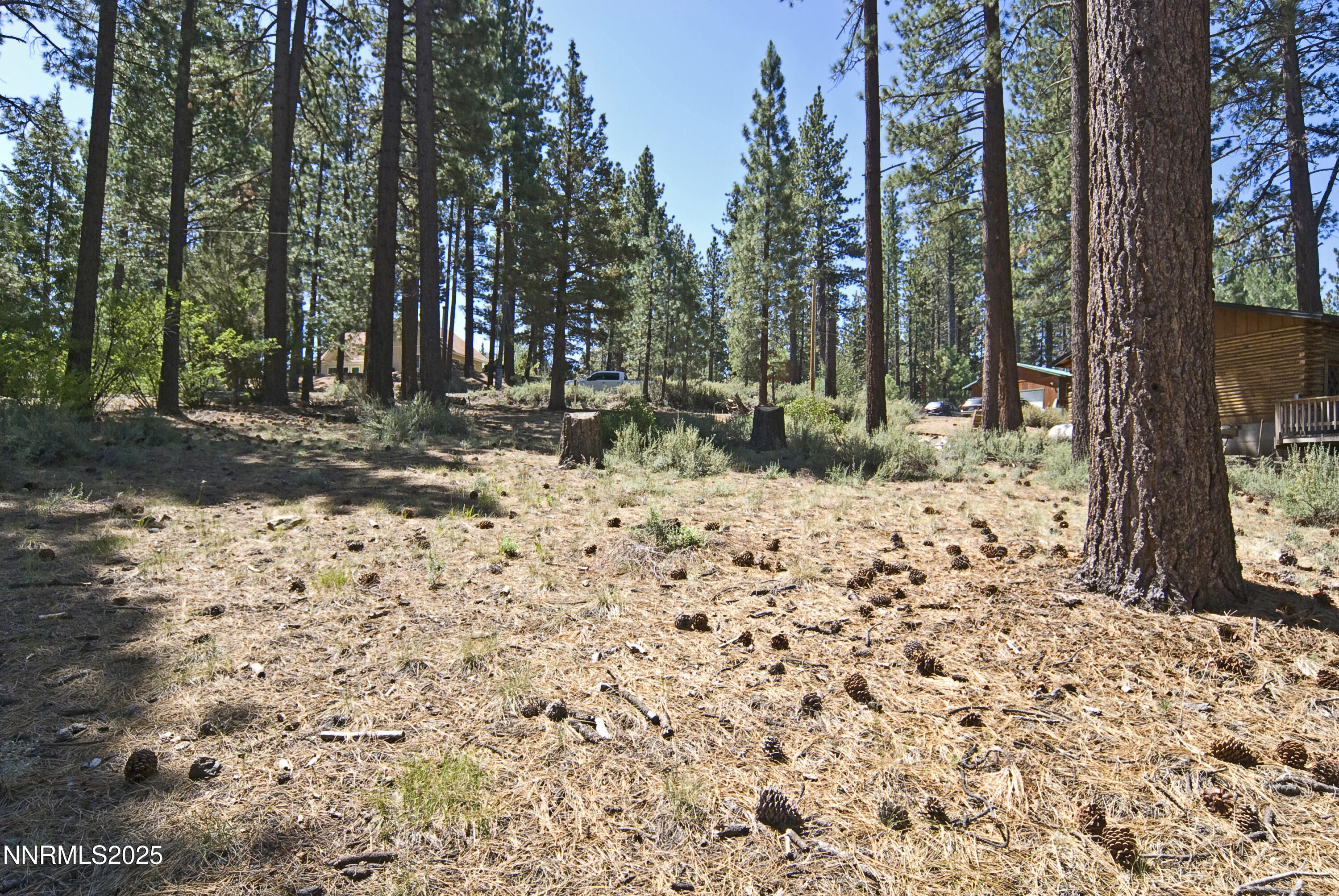 50 Pinon Road Property Photo 8