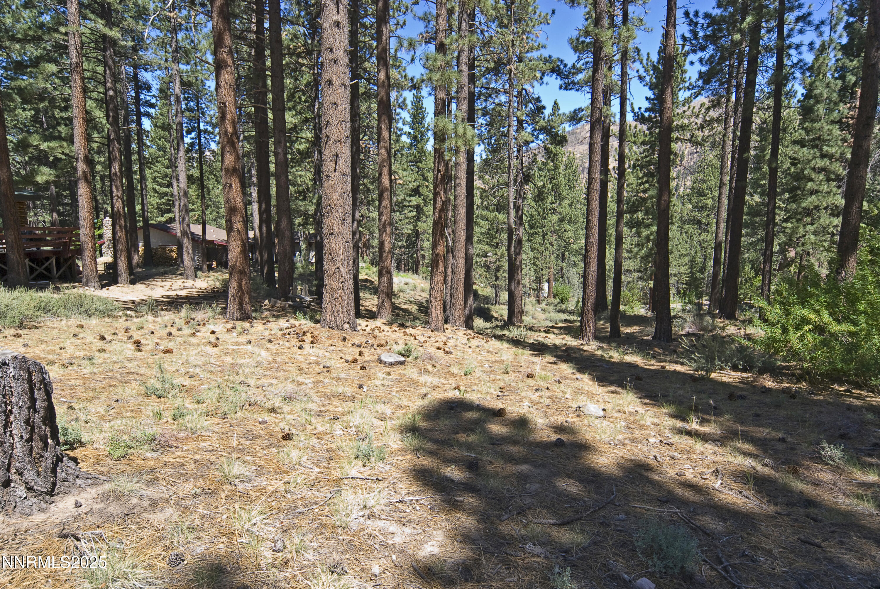 50 Pinon Road Property Photo 10