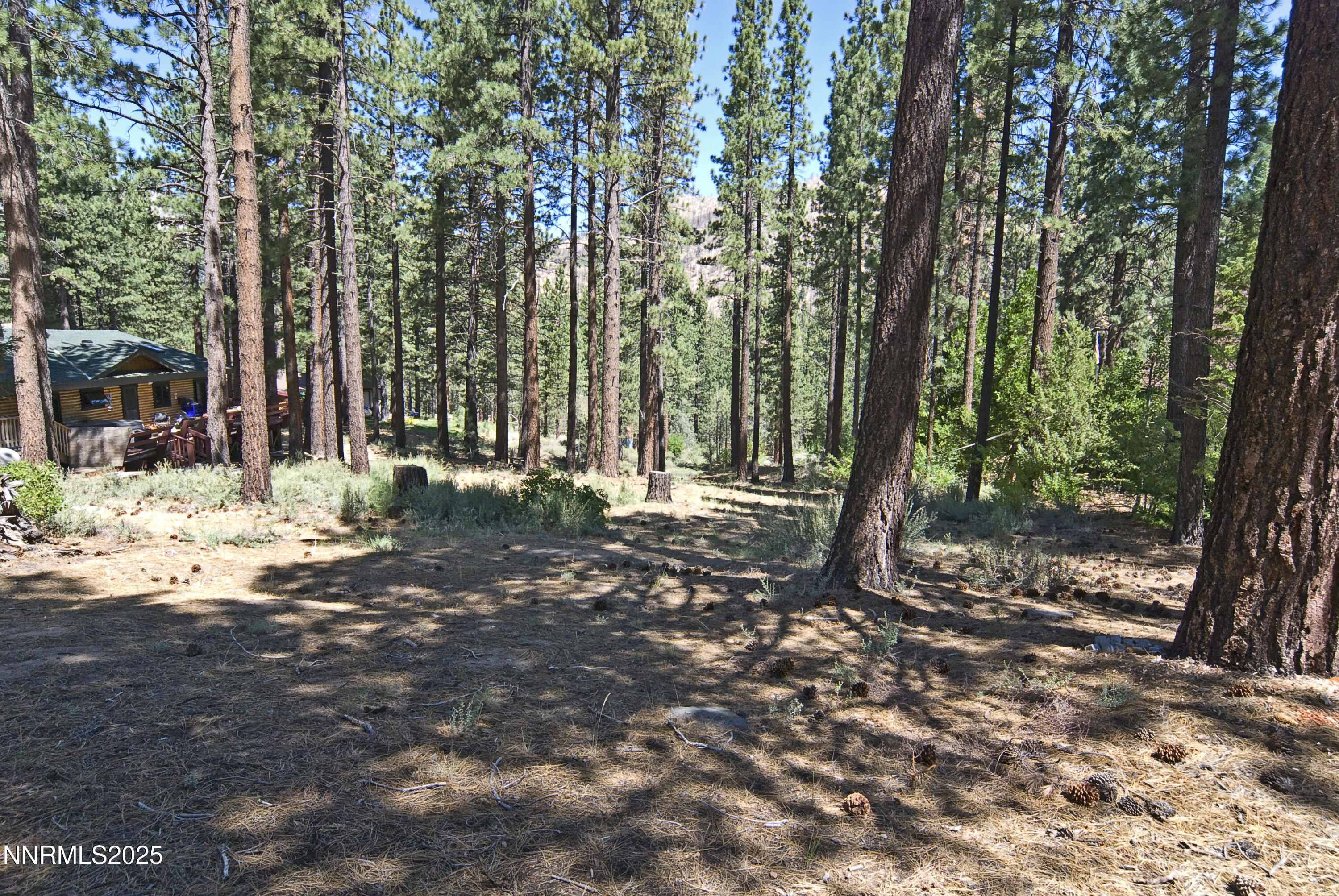 50 Pinon Road Property Photo 11
