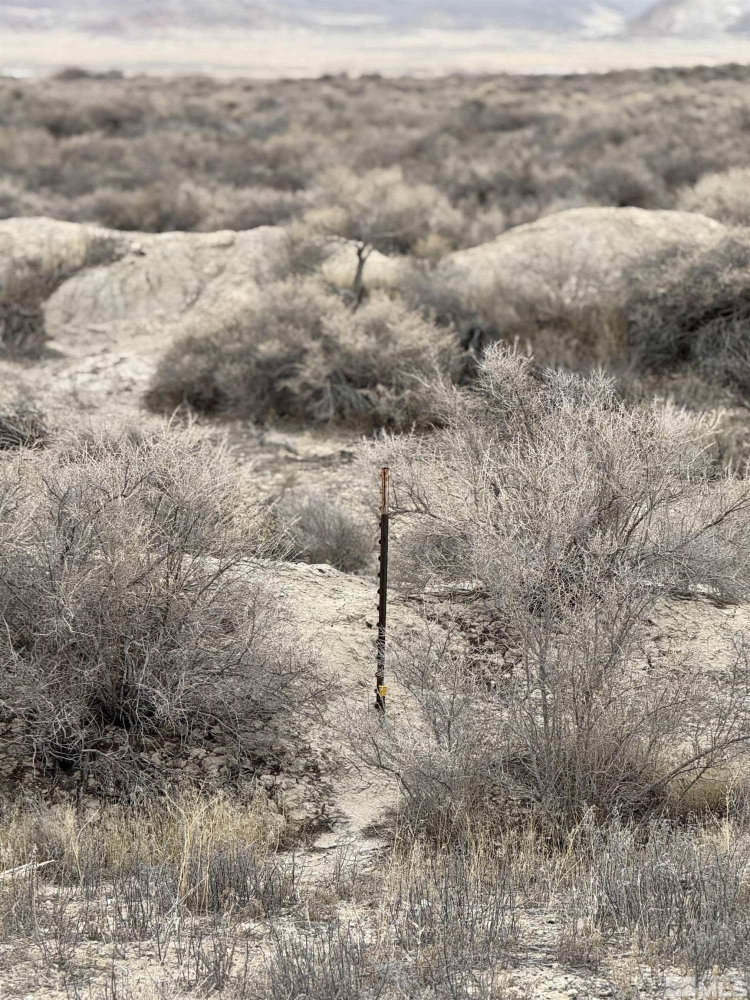 2500 Old Emigrant Road Property Photo 3