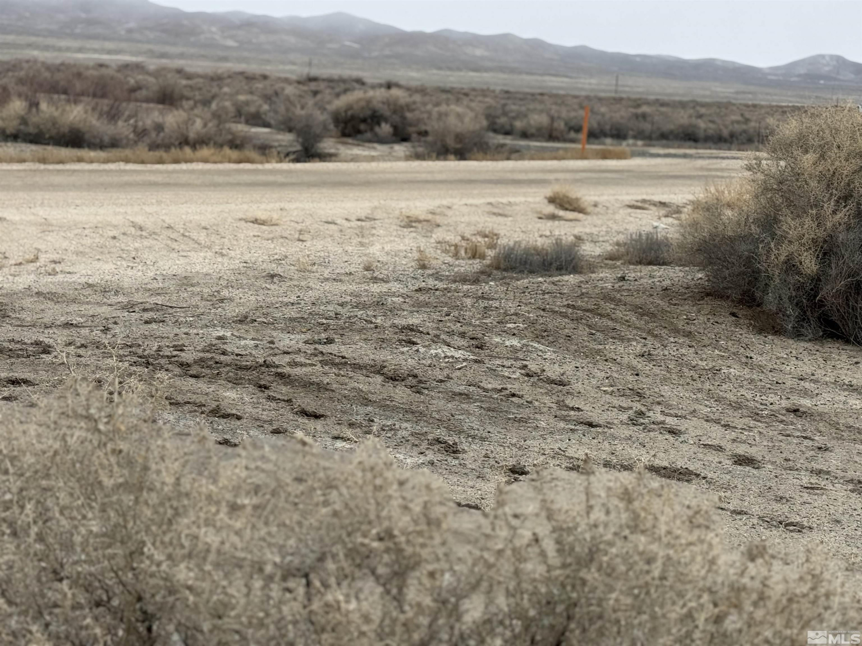 2500 Old Emigrant Road Property Photo 4