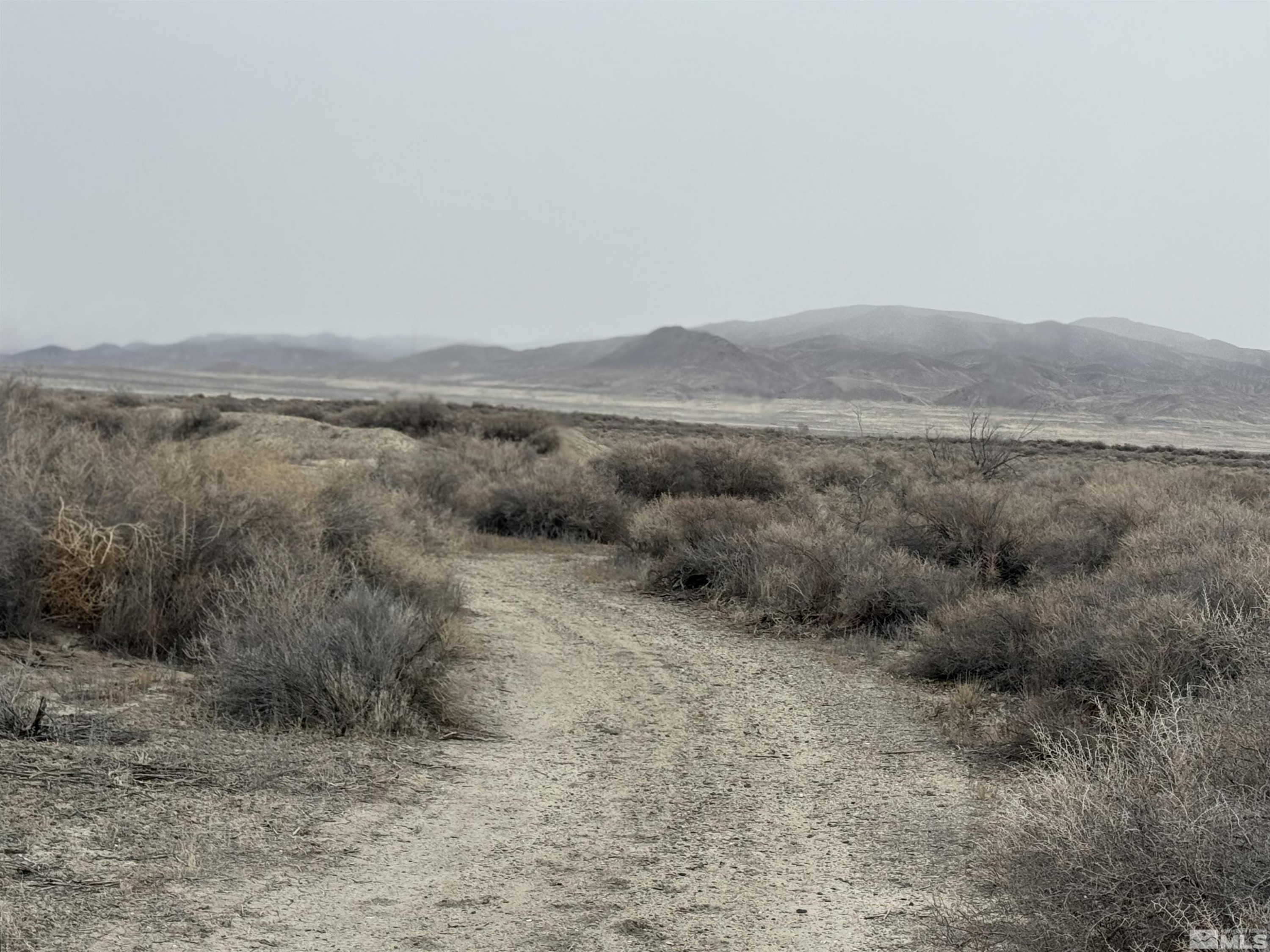 2500 Old Emigrant Road Property Photo 5