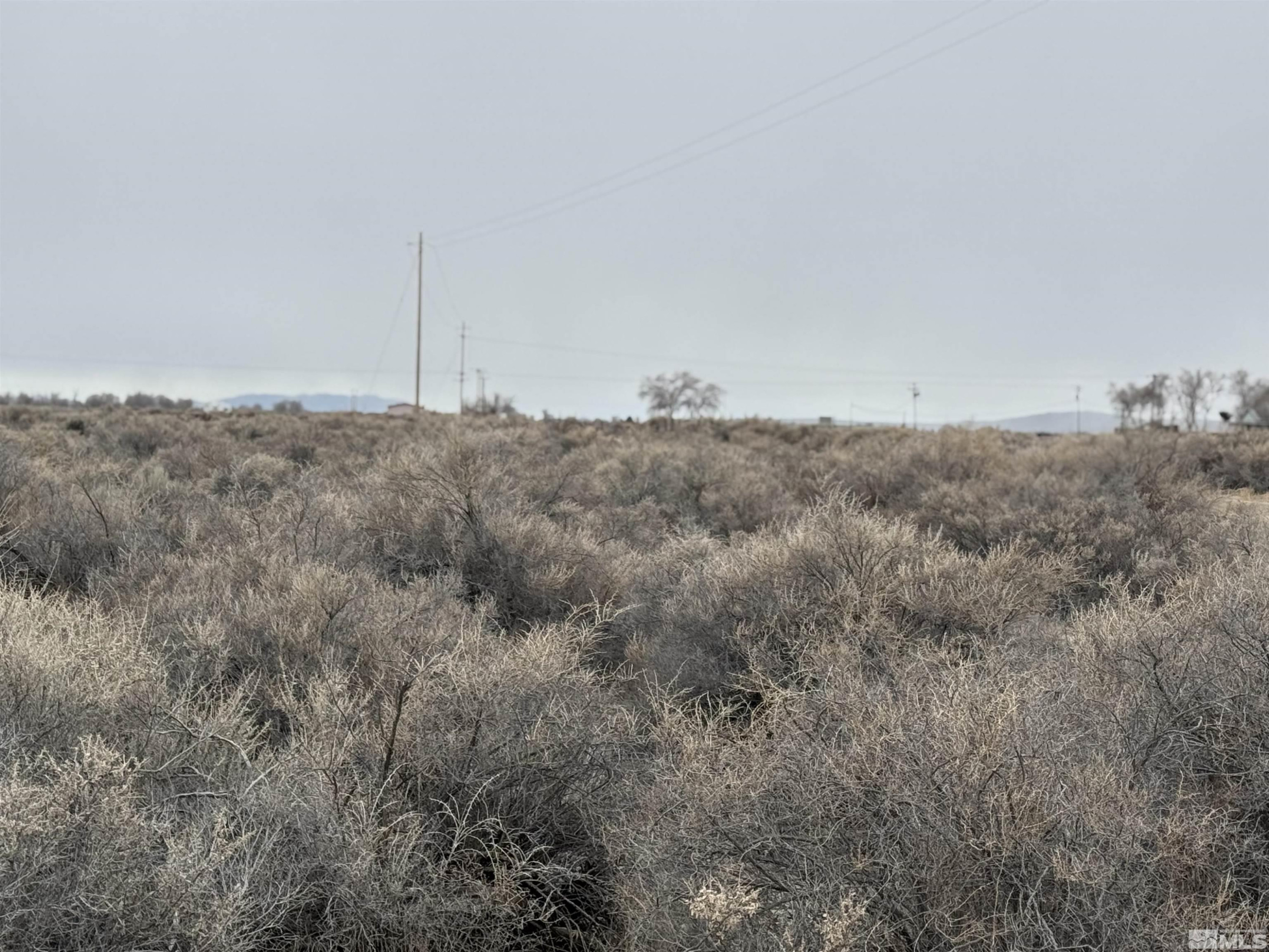 2500 Old Emigrant Road Property Photo 7