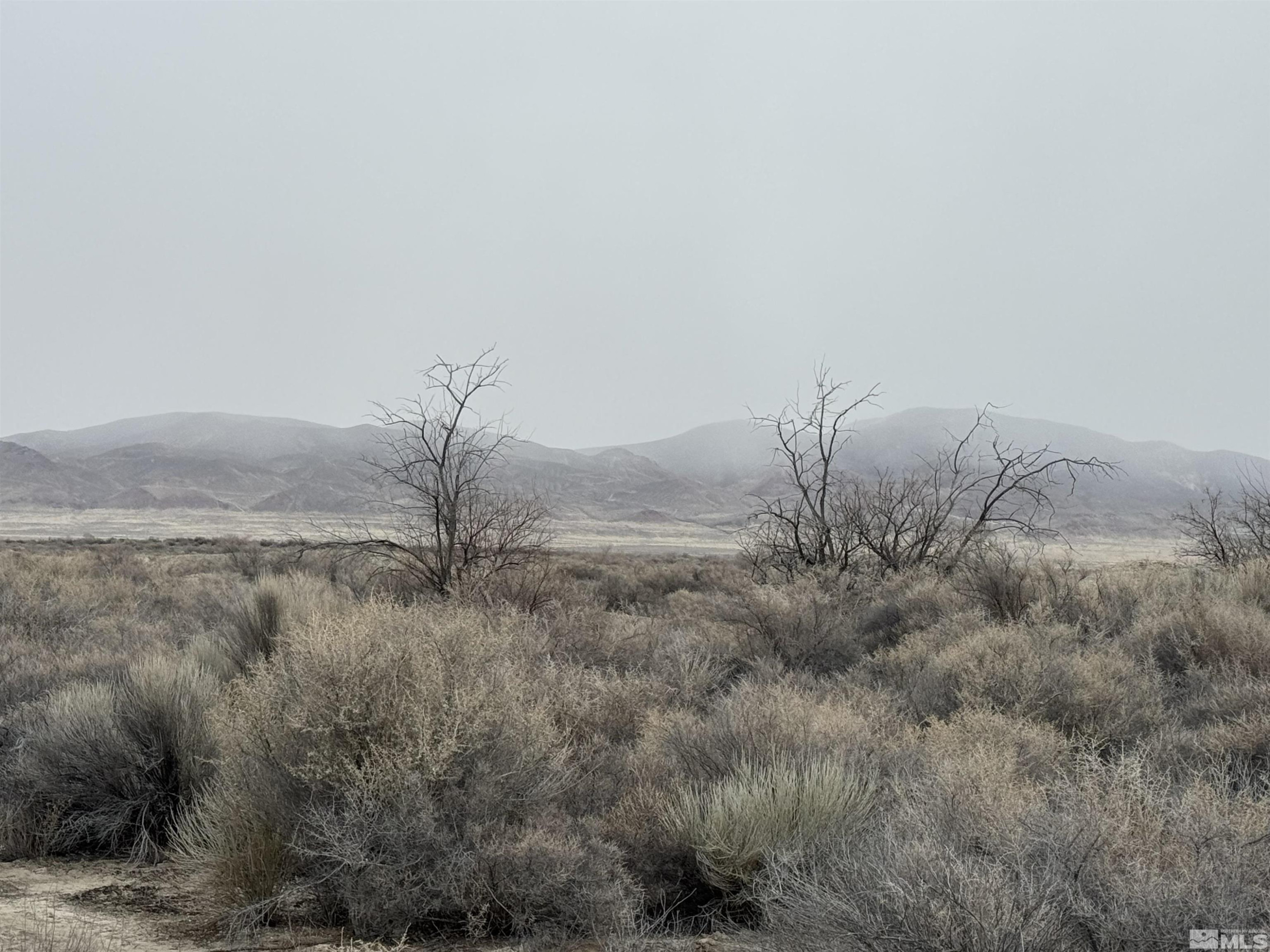 2500 Old Emigrant Road Property Photo 8