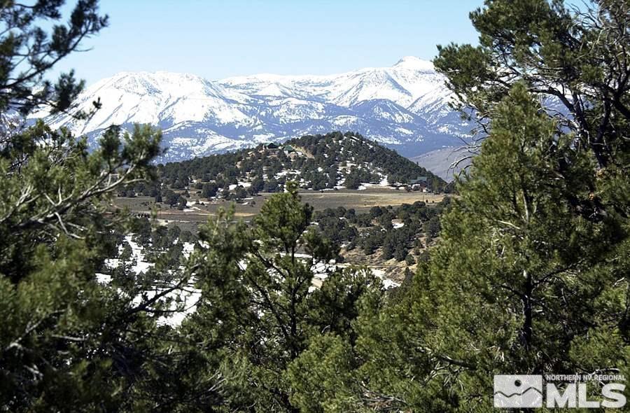 21455 Saddleback Road Property Photo 8