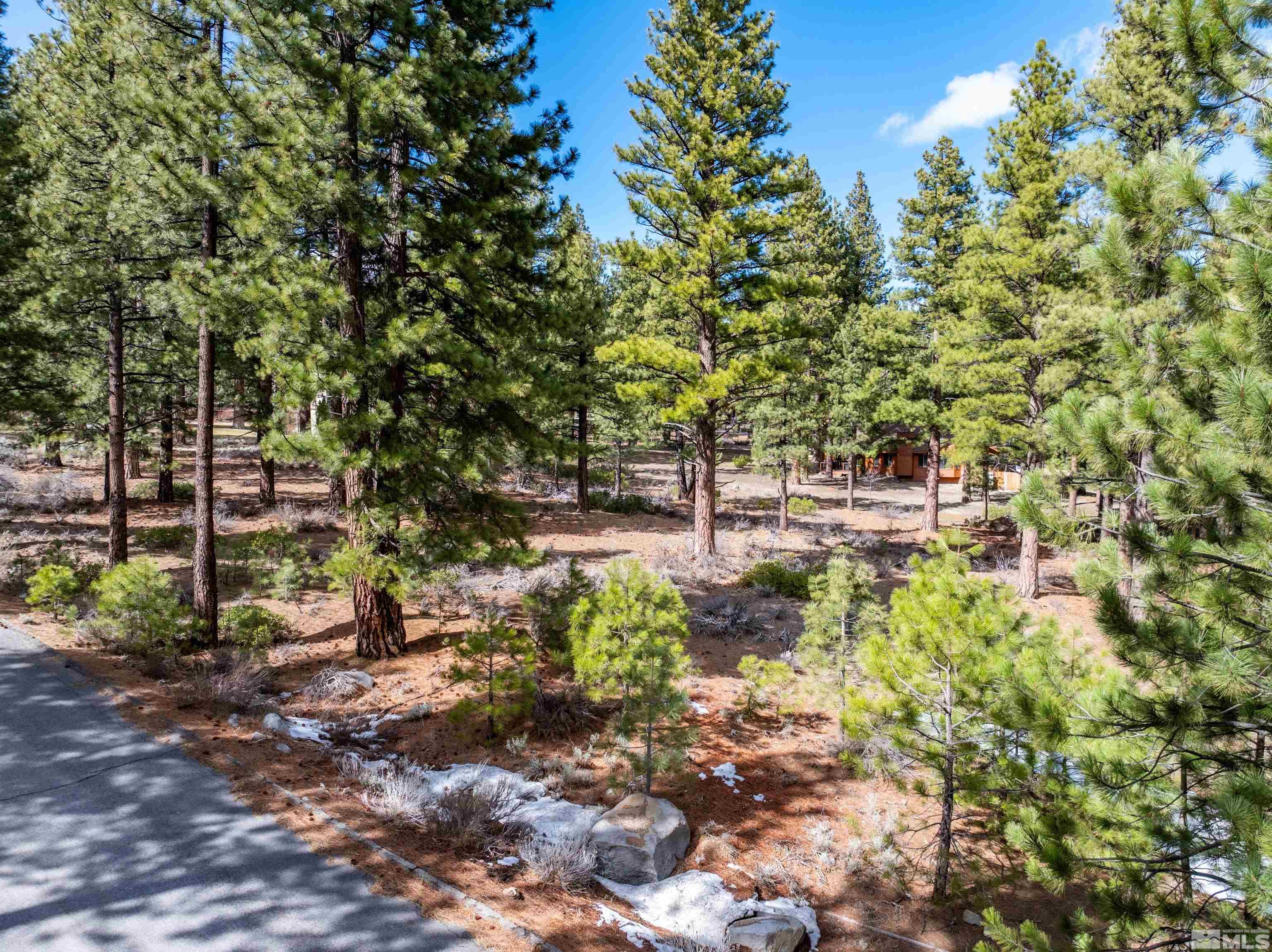 17065 Evergreen Hills Dr Property Photo 1