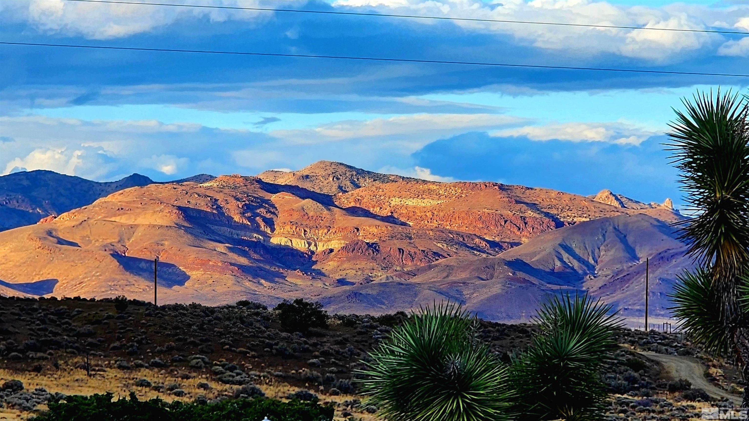 5025 Jackrabbit Road Property Photo 6