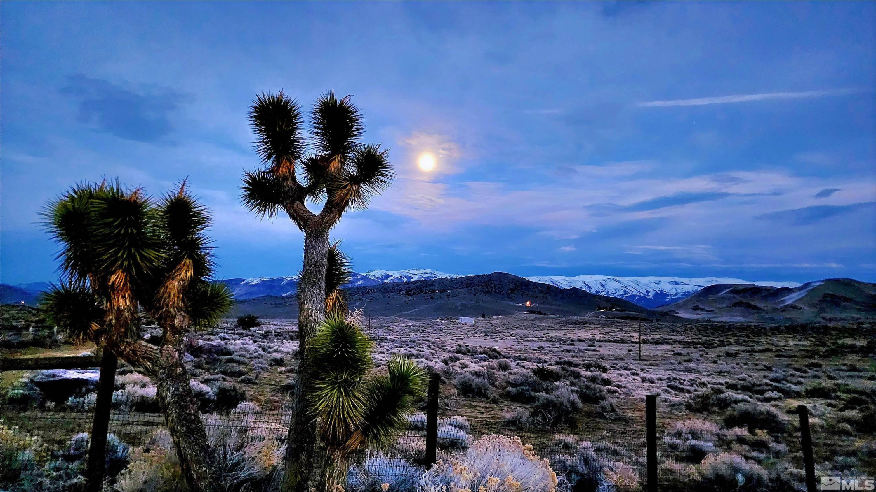 5025 Jackrabbit Road Property Photo 8