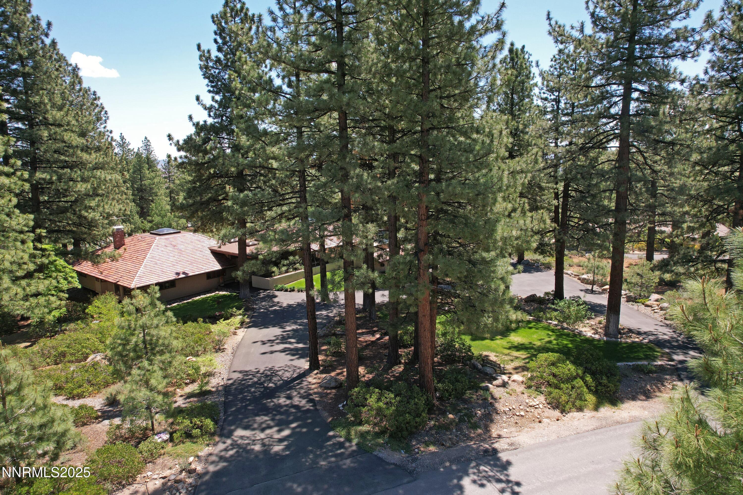 205 Scotch Pine Road Property Photo 4