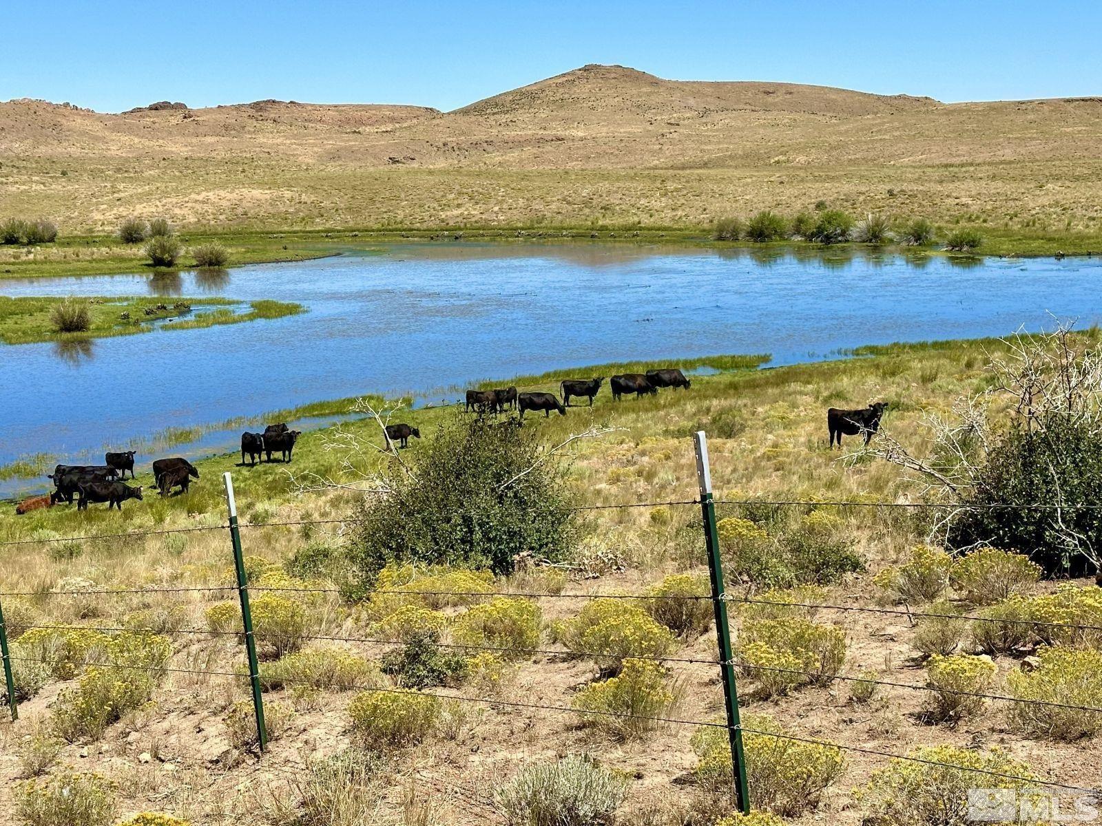 Wildhorse Ranch