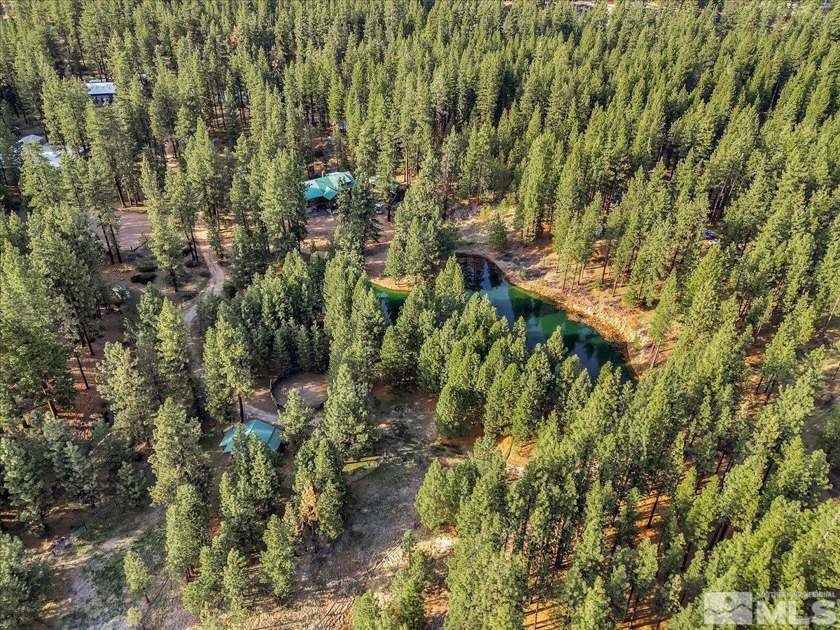 93 Jeffrey Pine Lane Property Photo 40